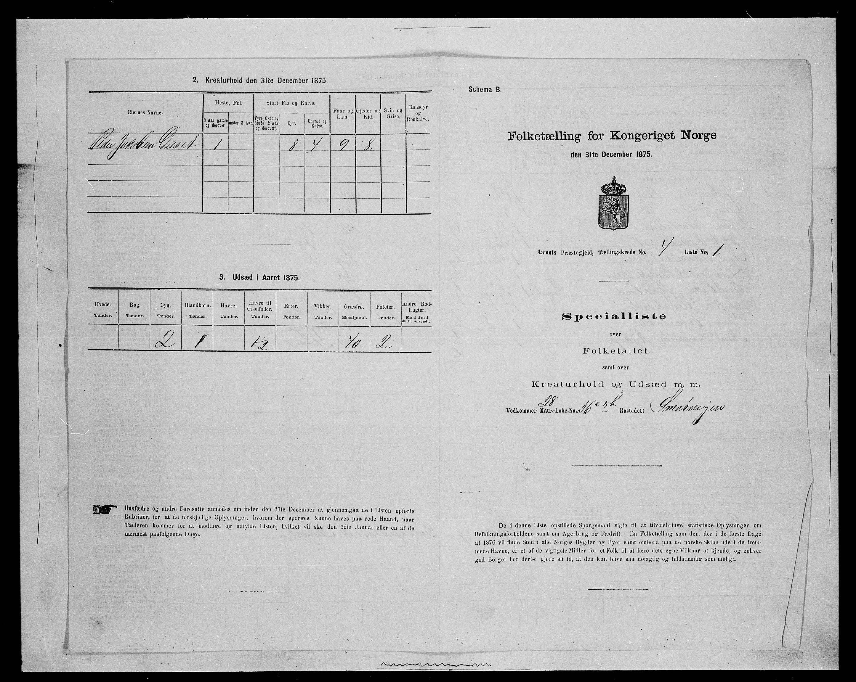 SAH, Folketelling 1875 for 0429P Åmot prestegjeld, 1875, s. 675