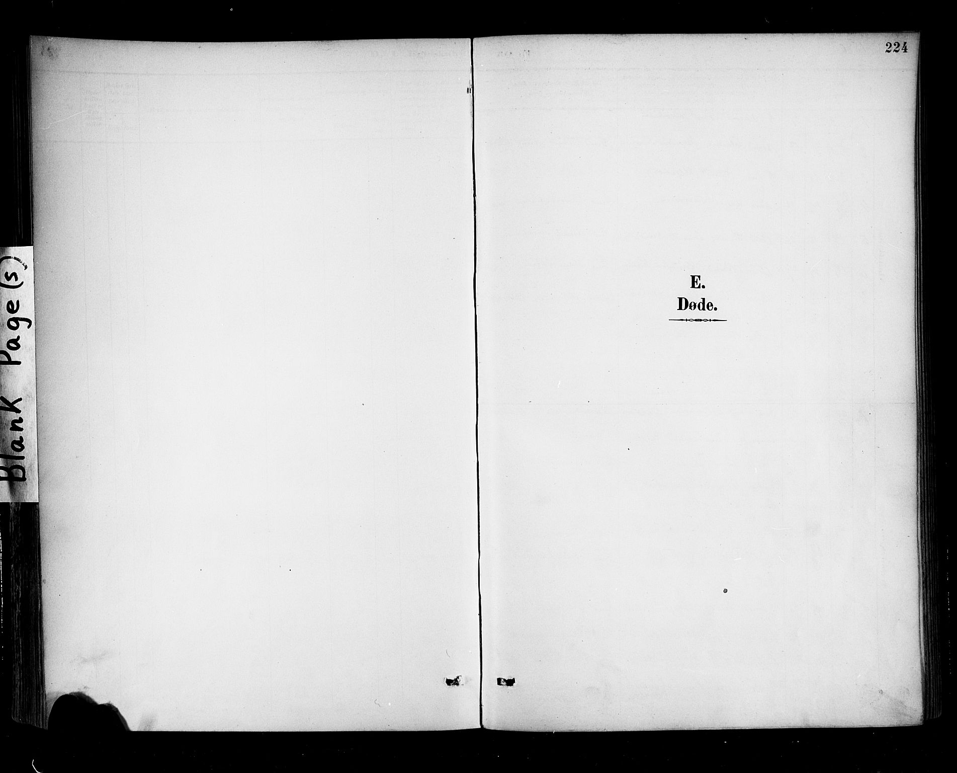 Ministerialprotokoller, klokkerbøker og fødselsregistre - Møre og Romsdal, AV/SAT-A-1454/513/L0177: Ministerialbok nr. 513A04, 1890-1906, s. 224