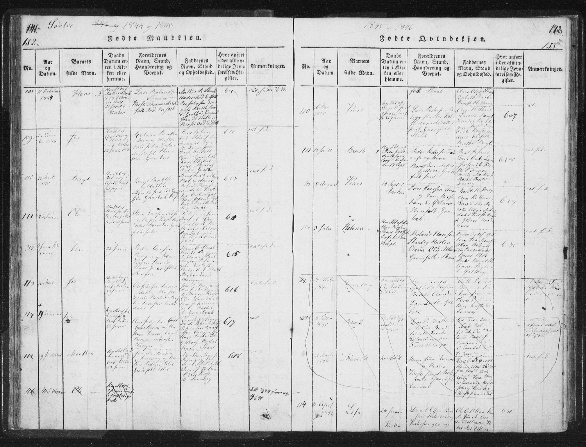Ministerialprotokoller, klokkerbøker og fødselsregistre - Nord-Trøndelag, AV/SAT-A-1458/755/L0491: Ministerialbok nr. 755A01 /2, 1817-1864, s. 132-133