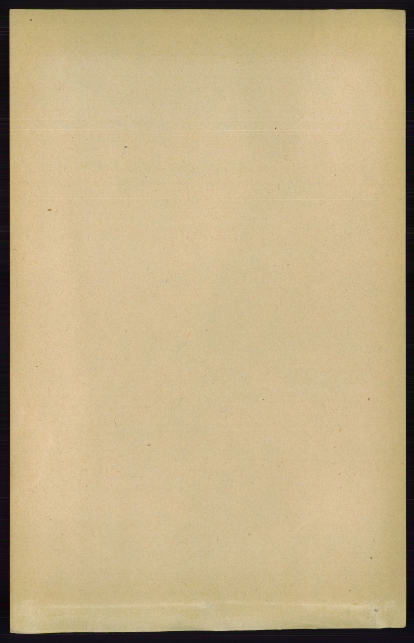 RA, Folketelling 1891 for 0915 Dypvåg herred, 1891, s. 3702