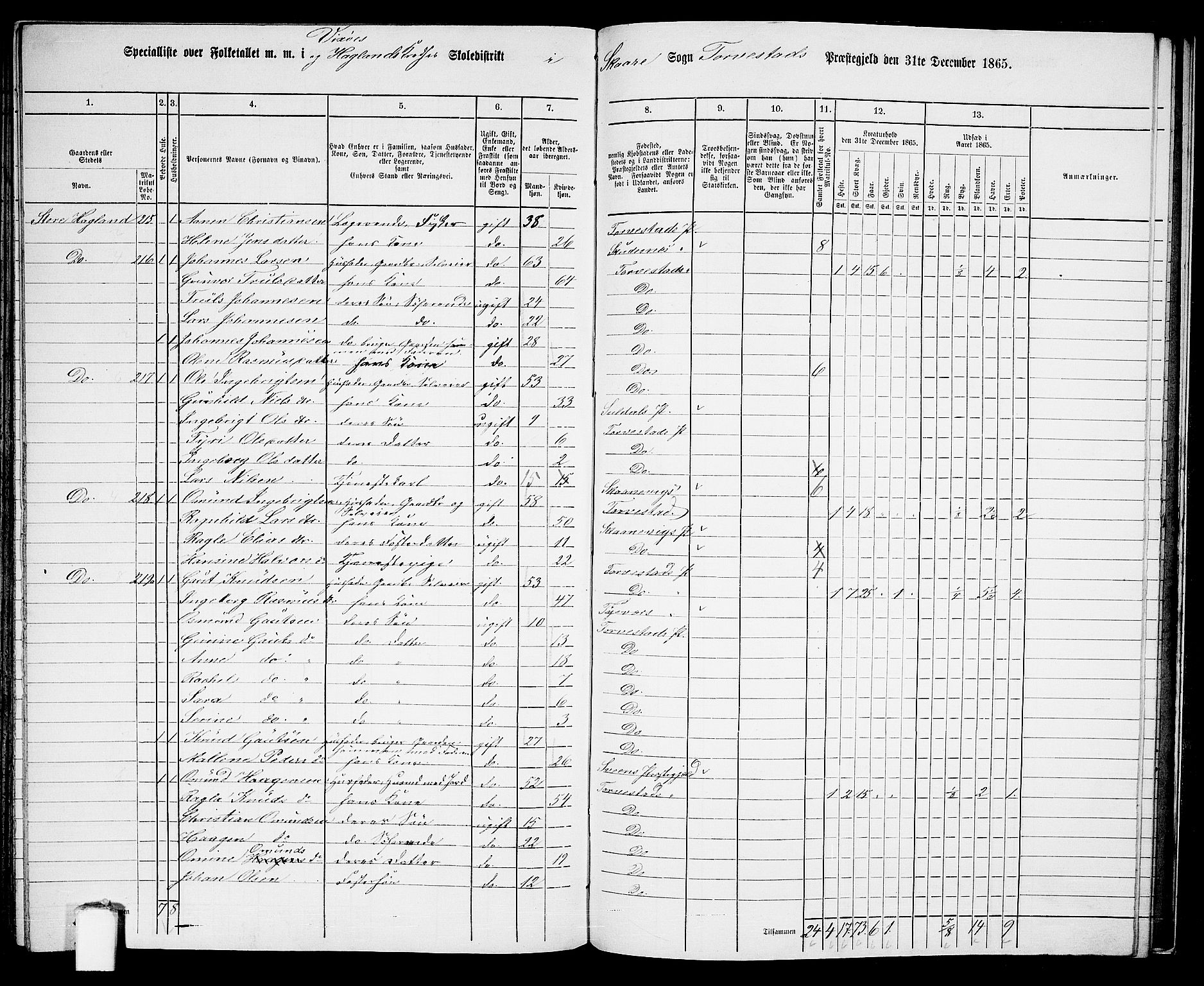 RA, Folketelling 1865 for 1152L Torvastad prestegjeld, Torvastad sokn, Skåre sokn og Utsira sokn, 1865, s. 131