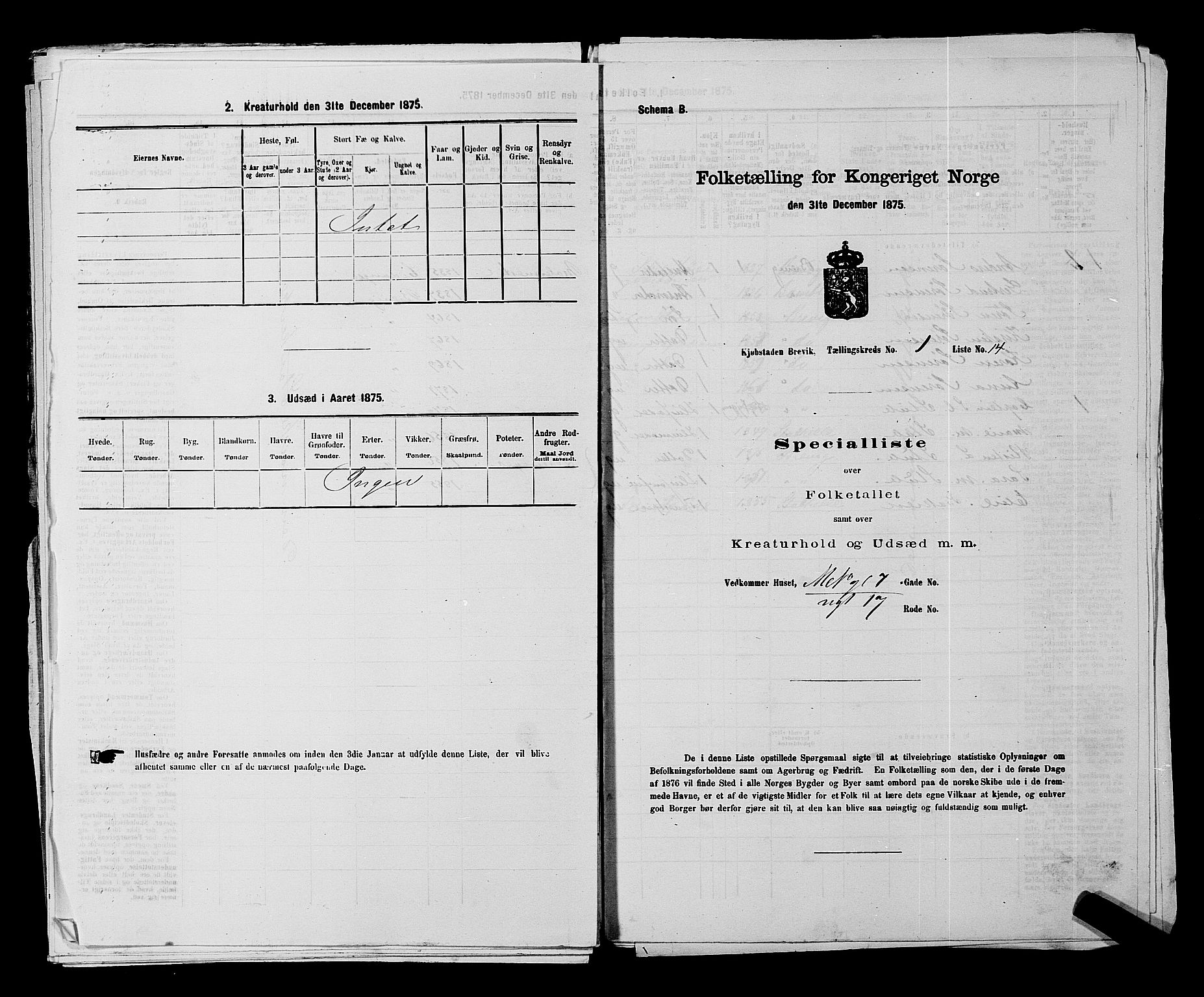 SAKO, Folketelling 1875 for 0804P Brevik prestegjeld, 1875, s. 49