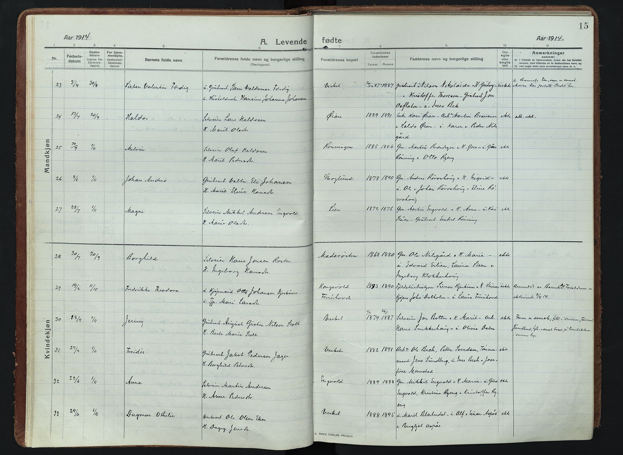 Alvdal prestekontor, AV/SAH-PREST-060/H/Ha/Haa/L0005: Ministerialbok nr. 5, 1913-1930, s. 15