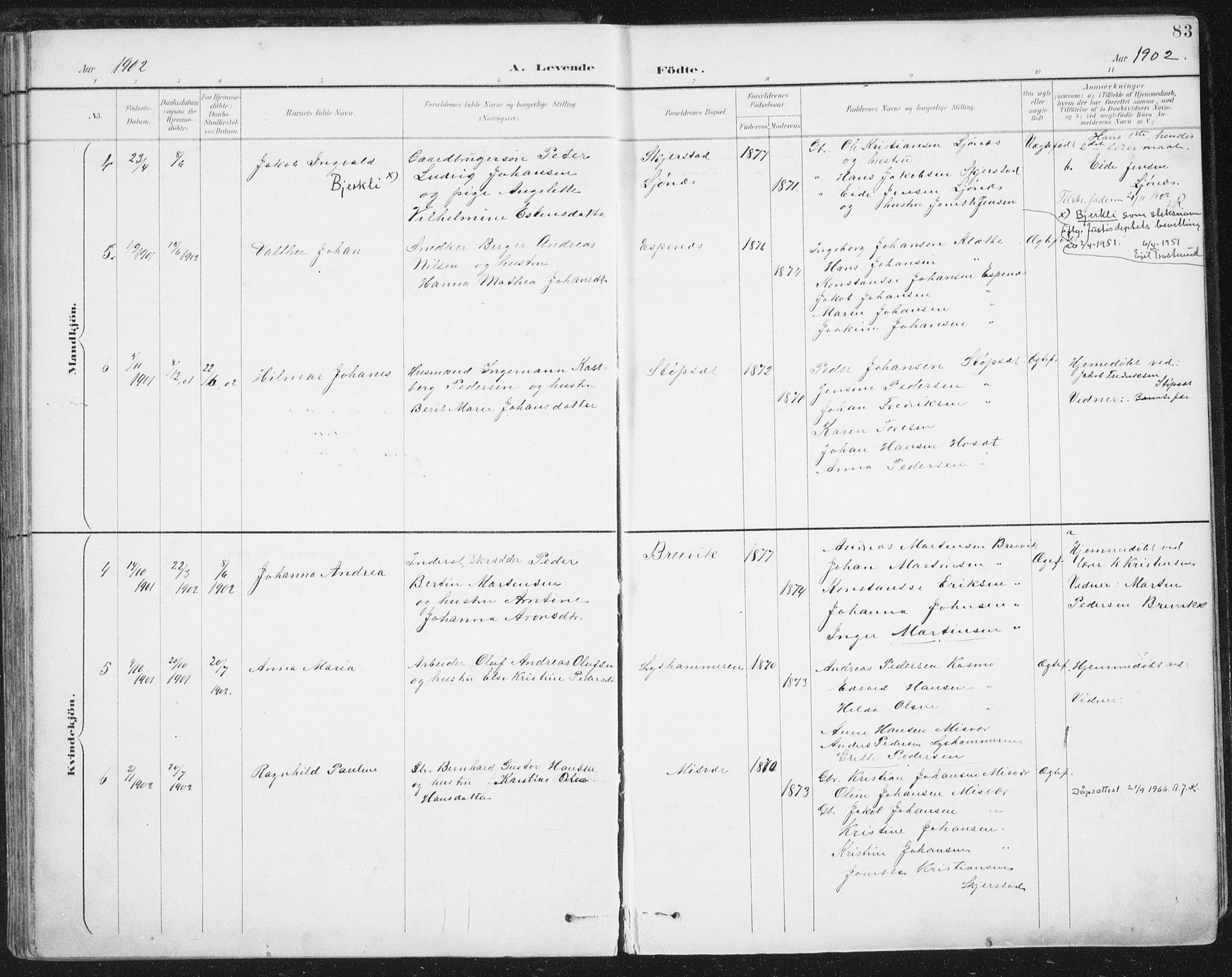 Ministerialprotokoller, klokkerbøker og fødselsregistre - Nordland, SAT/A-1459/852/L0741: Ministerialbok nr. 852A11, 1894-1917, s. 83