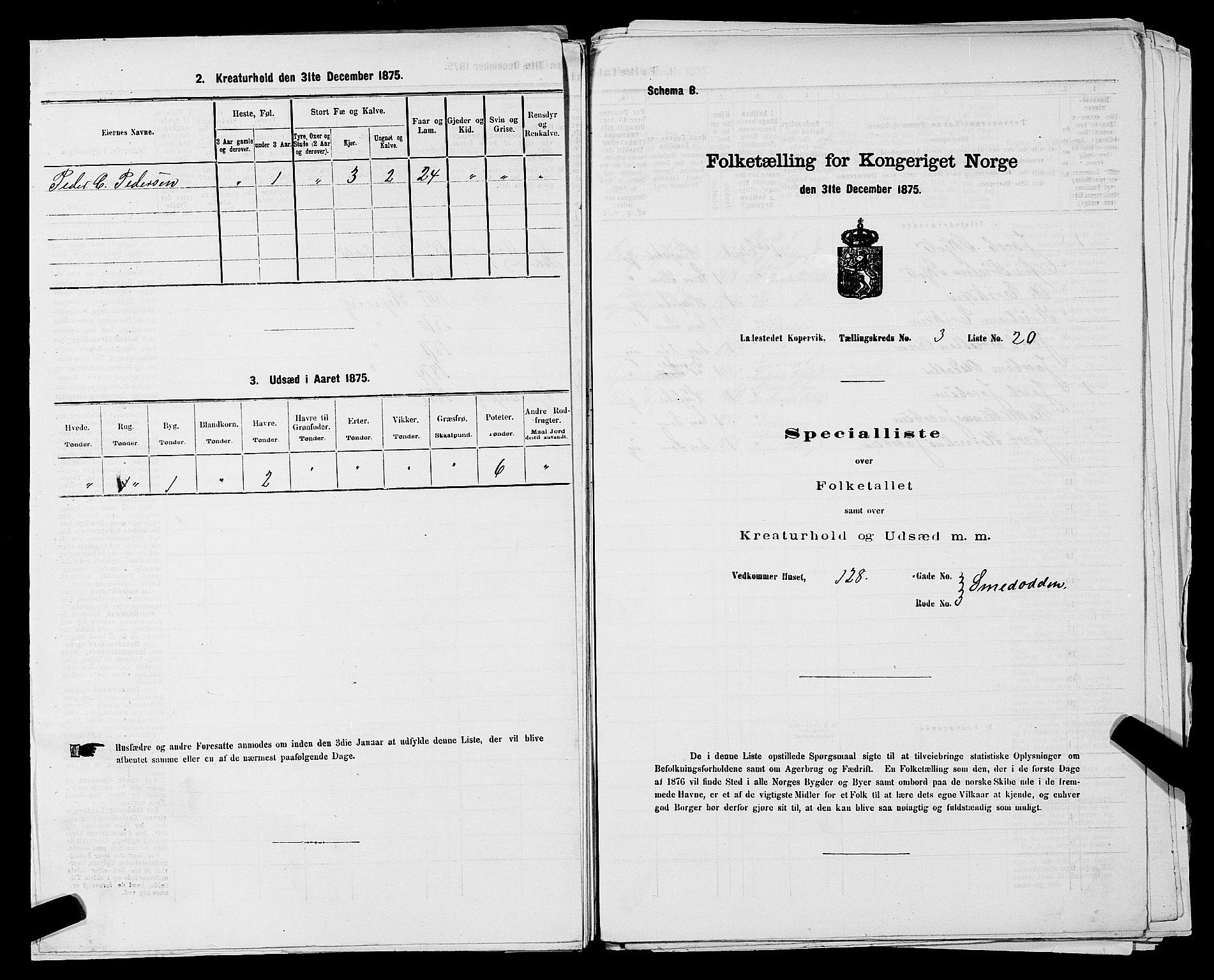 SAST, Folketelling 1875 for 1105B Avaldsnes prestegjeld, Kopervik ladested, 1875, s. 42