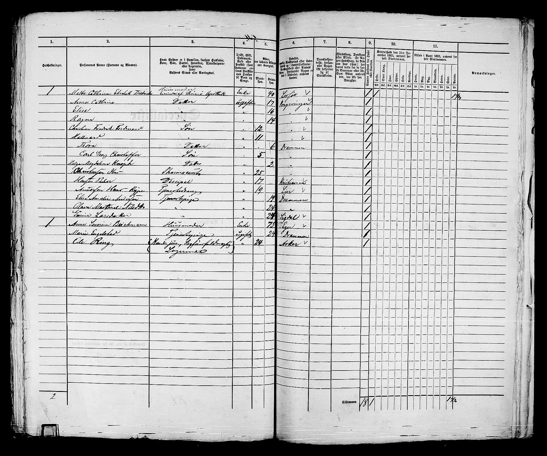 RA, Folketelling 1865 for 0602bP Strømsø prestegjeld i Drammen kjøpstad, 1865, s. 382