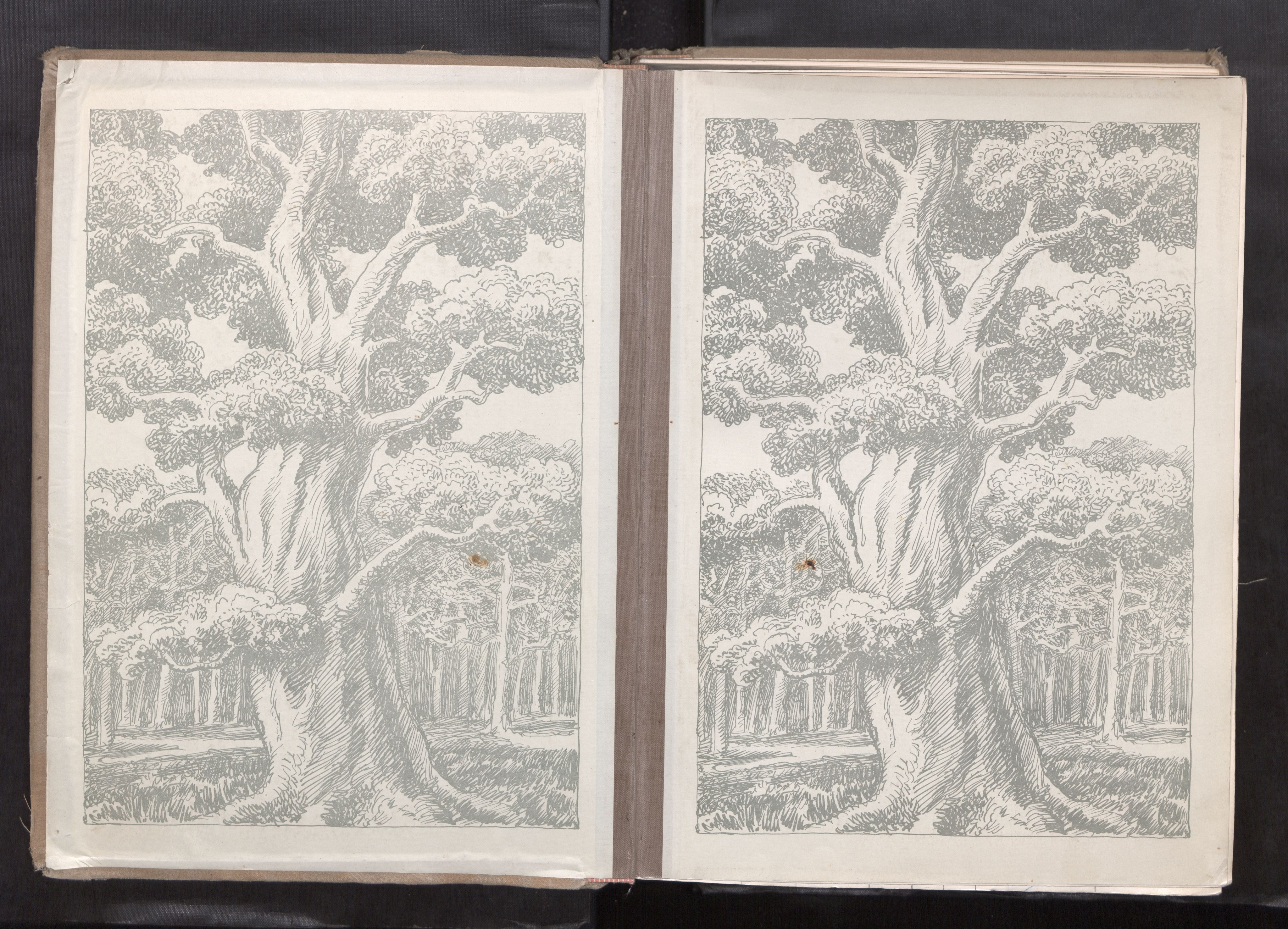 Ministerialprotokoller, klokkerbøker og fødselsregistre - Sør-Trøndelag, AV/SAT-A-1456/608/L0345: Fødselsregister nr. 608---, 1916-1987