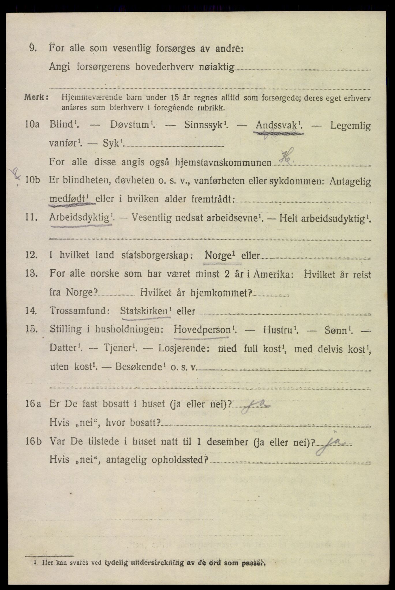 SAK, Folketelling 1920 for 0936 Hornnes herred, 1920, s. 3264
