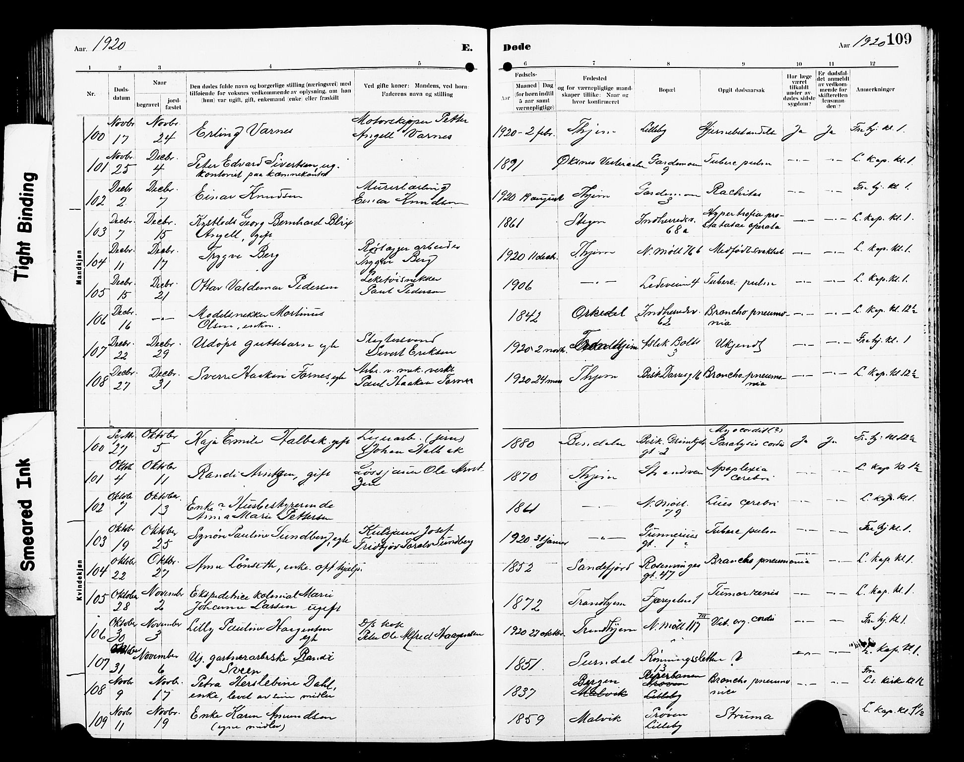 Ministerialprotokoller, klokkerbøker og fødselsregistre - Sør-Trøndelag, AV/SAT-A-1456/605/L0257: Klokkerbok nr. 605C04, 1916-1922, s. 109