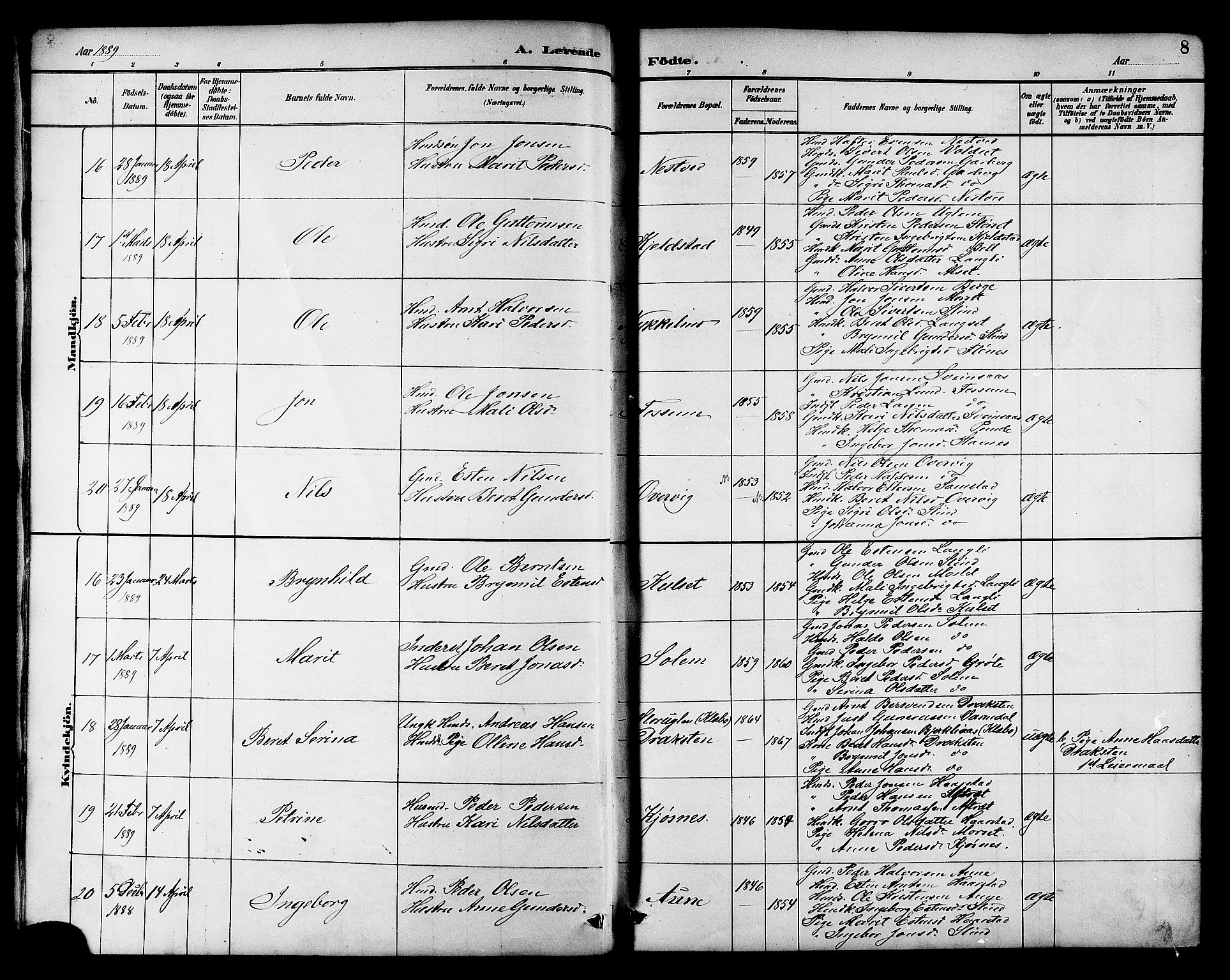 Ministerialprotokoller, klokkerbøker og fødselsregistre - Sør-Trøndelag, SAT/A-1456/695/L1157: Klokkerbok nr. 695C08, 1889-1913, s. 8