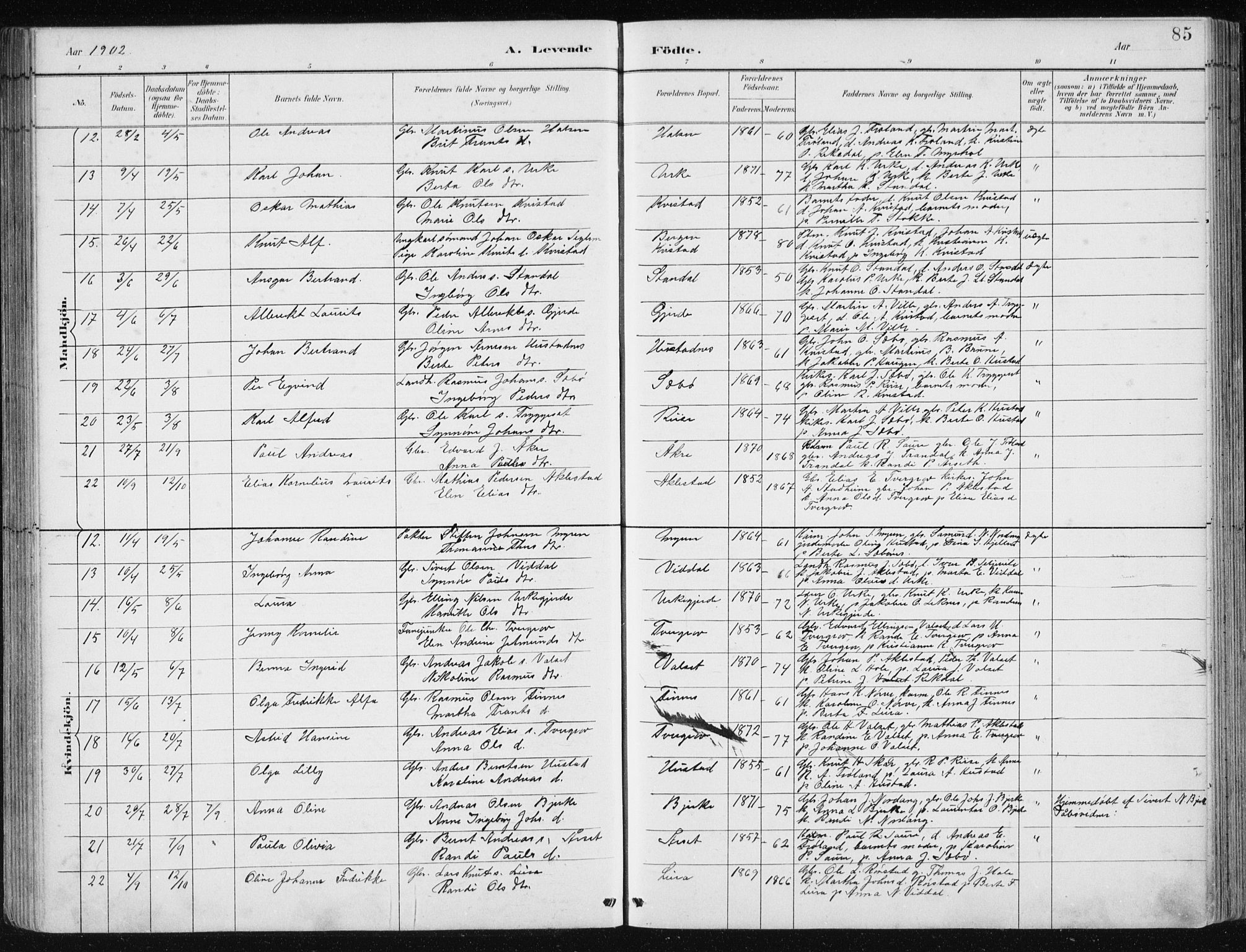 Ministerialprotokoller, klokkerbøker og fødselsregistre - Møre og Romsdal, AV/SAT-A-1454/515/L0215: Klokkerbok nr. 515C02, 1884-1906, s. 85