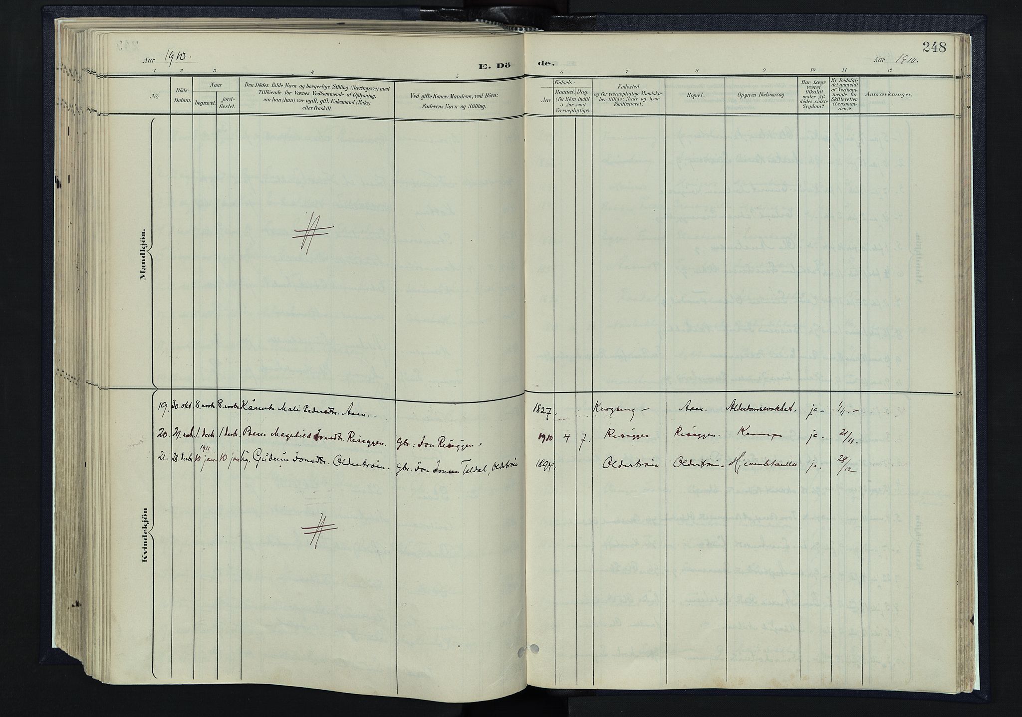 Tynset prestekontor, AV/SAH-PREST-058/H/Ha/Haa/L0025: Ministerialbok nr. 25, 1900-1914, s. 248