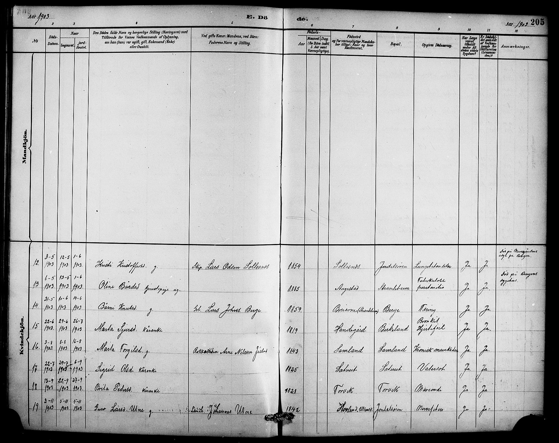 Ullensvang sokneprestembete, AV/SAB-A-78701/H/Hab: Klokkerbok nr. D 1, 1891-1908, s. 205