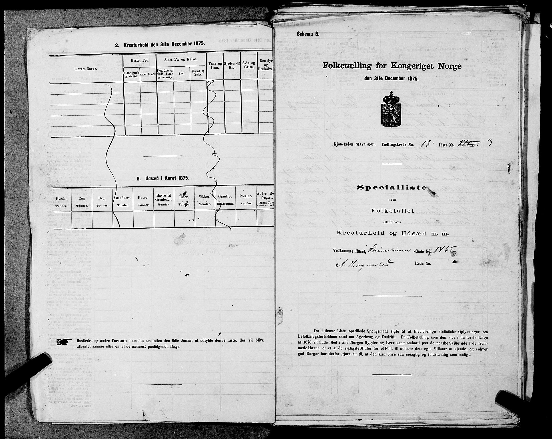 SAST, Folketelling 1875 for 1103 Stavanger kjøpstad, 1875, s. 3596