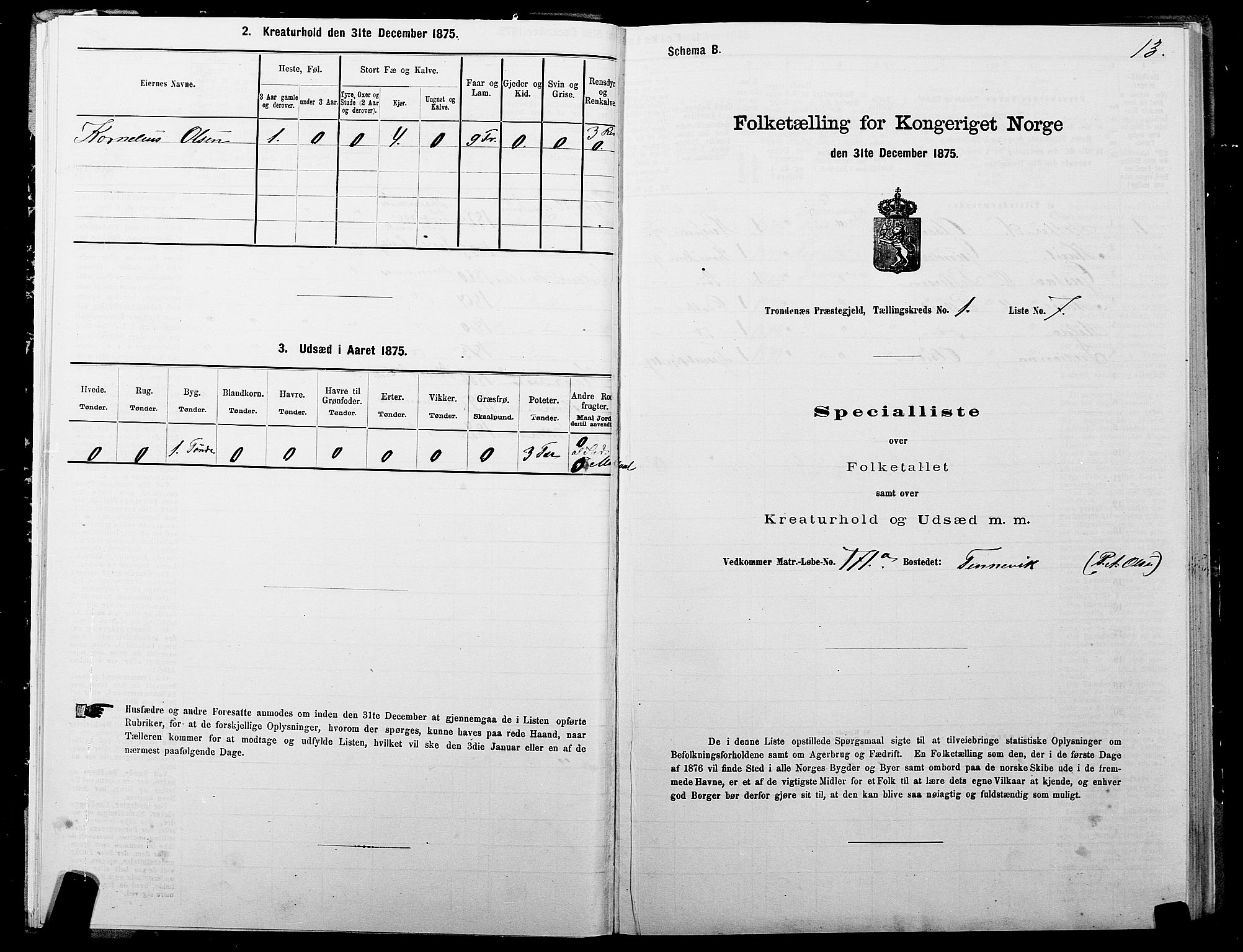 SATØ, Folketelling 1875 for 1914P Trondenes prestegjeld, 1875, s. 1013