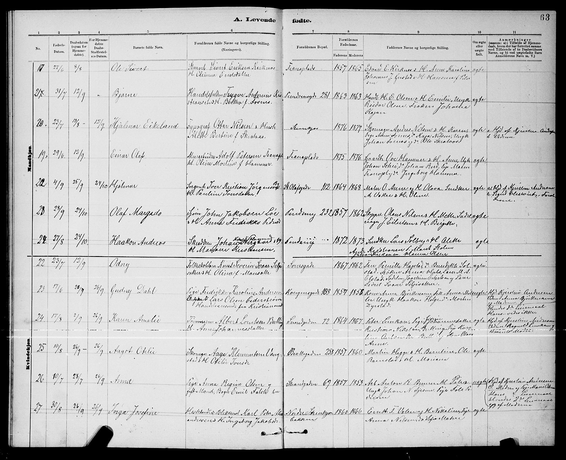 Ministerialprotokoller, klokkerbøker og fødselsregistre - Nord-Trøndelag, SAT/A-1458/739/L0374: Klokkerbok nr. 739C02, 1883-1898, s. 63