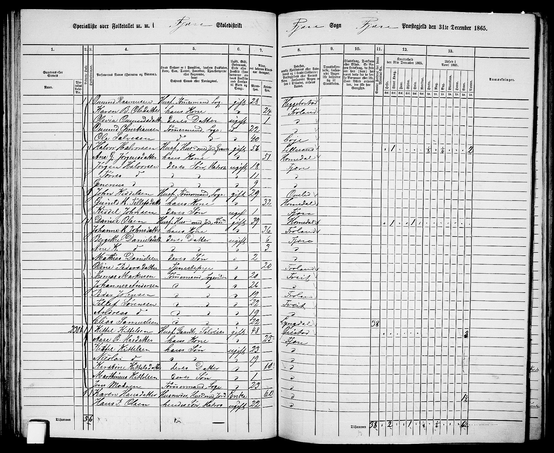 RA, Folketelling 1865 for 0923L Fjære prestegjeld, Fjære sokn, 1865, s. 68