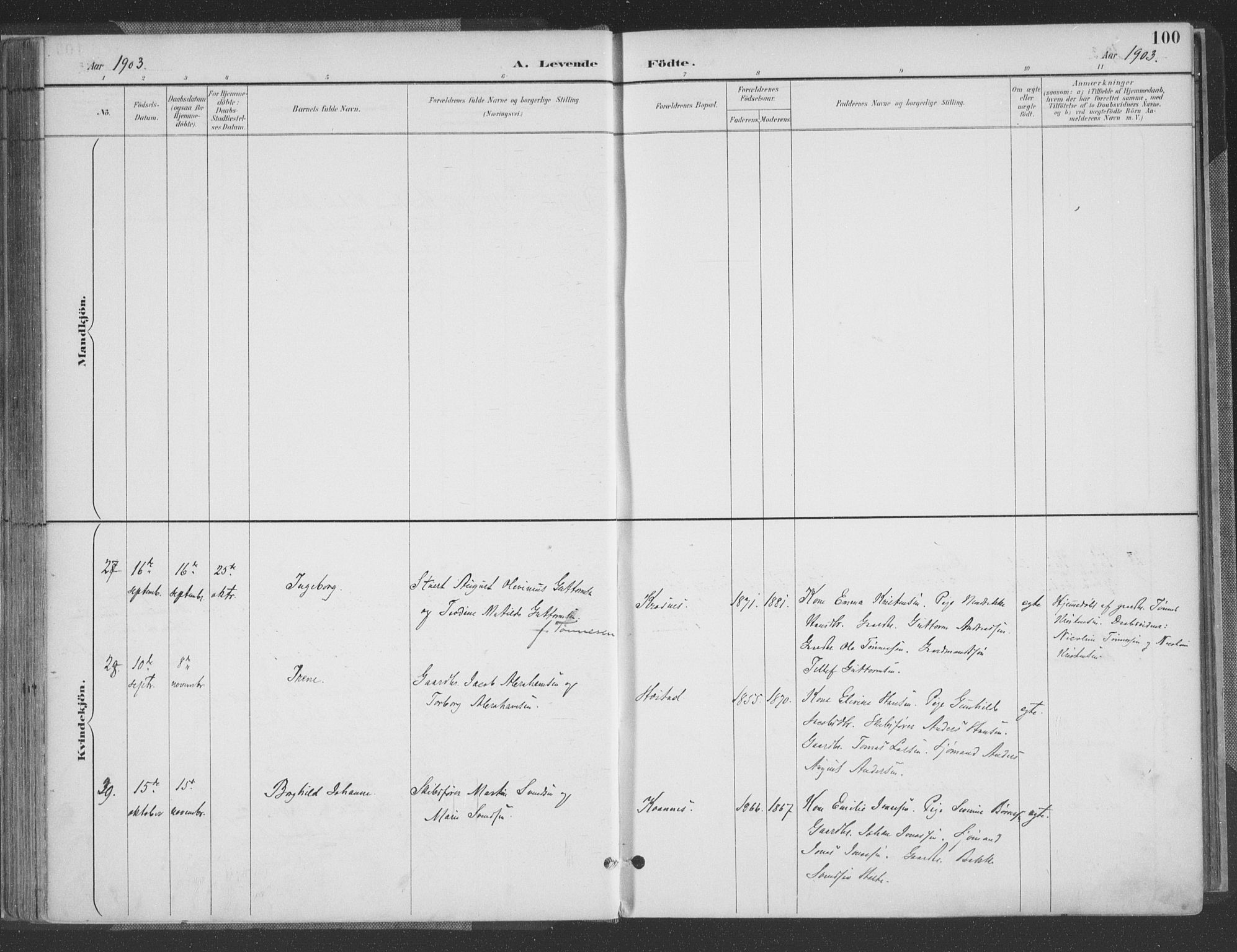 Høvåg sokneprestkontor, AV/SAK-1111-0025/F/Fa/L0006: Ministerialbok nr. A 6, 1894-1923, s. 100