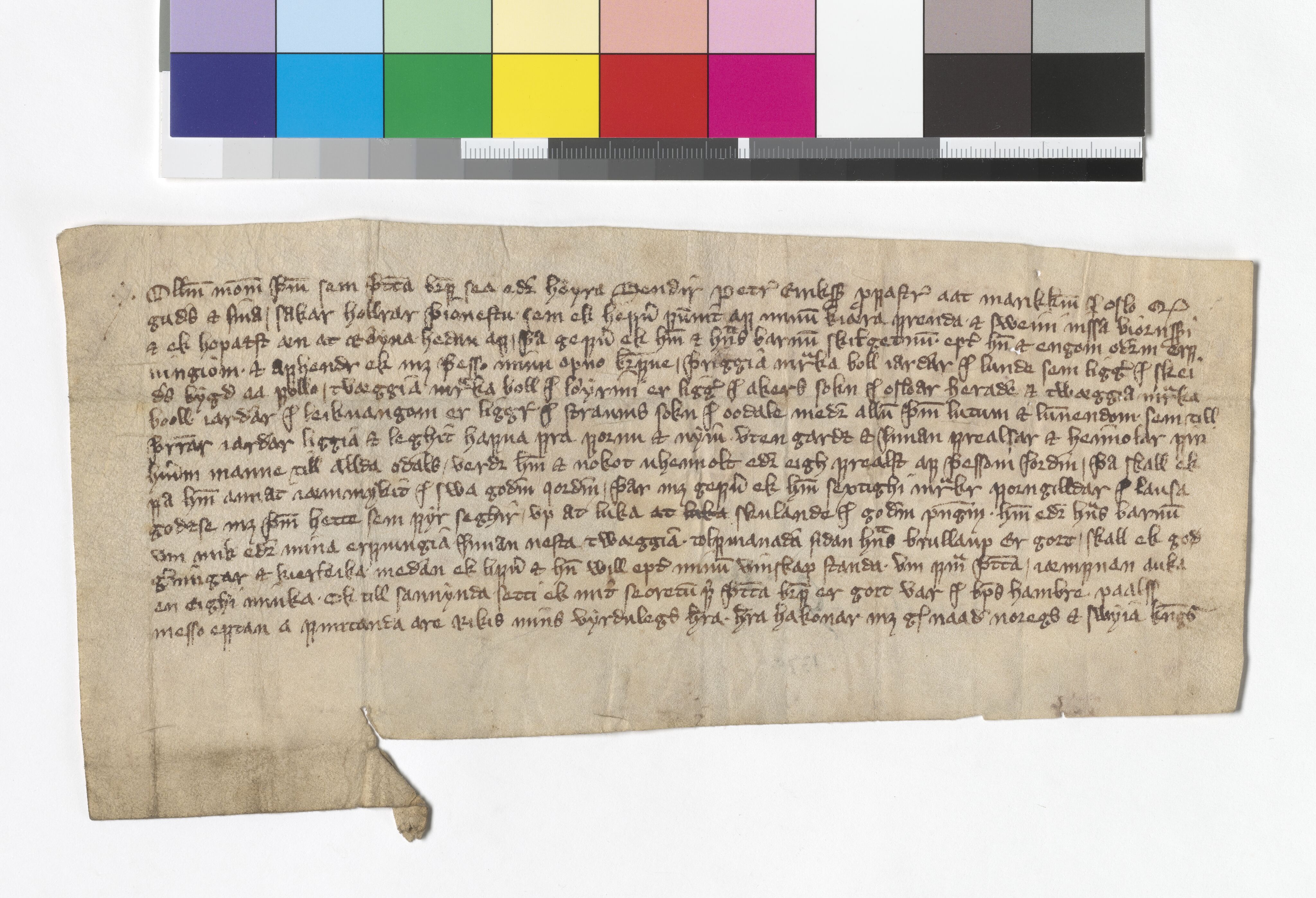 Riksarkivets diplomsamling, AV/RA-EA-5965/F05/L0175: NRA AM fasc. 71 nr. 13-35, 1368-1372, s. 18