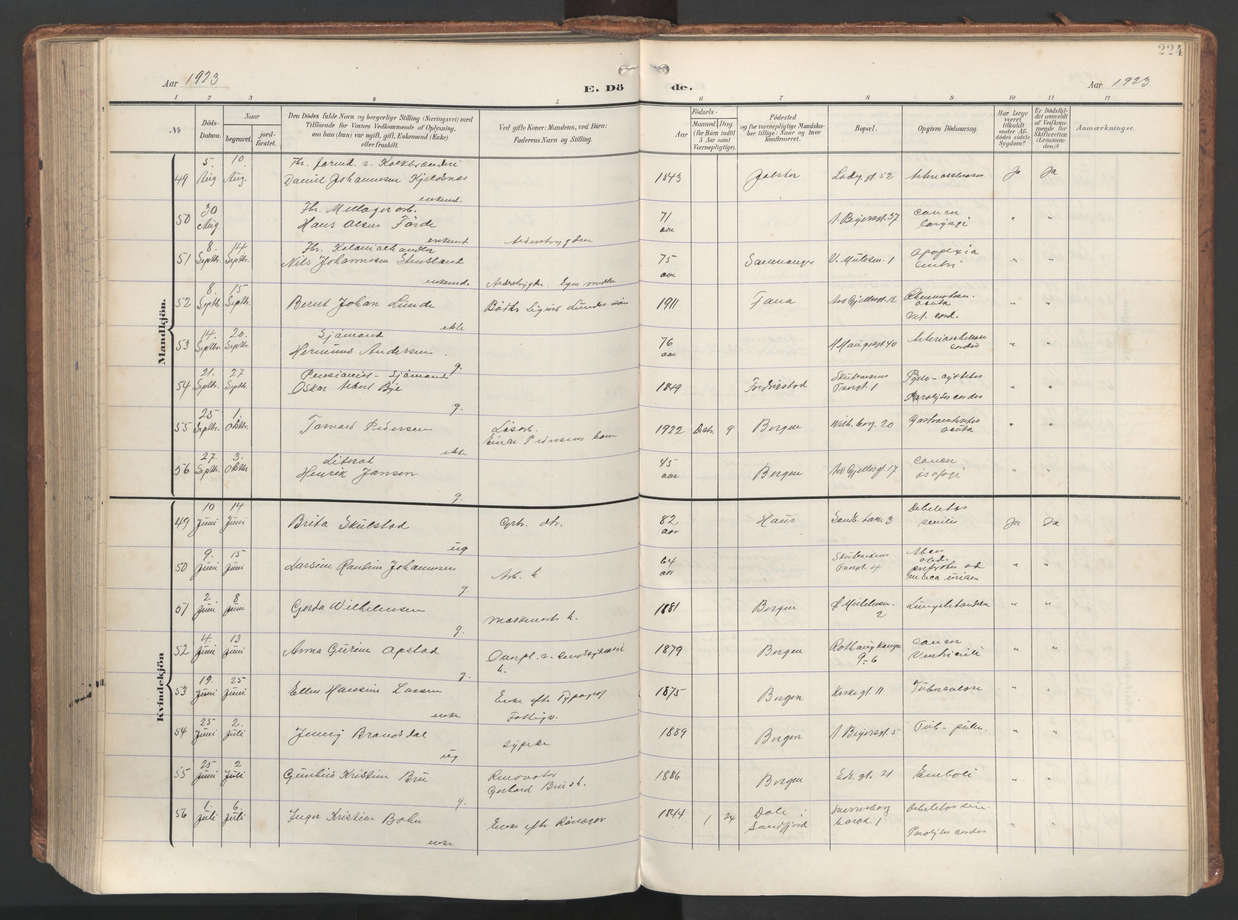 Sandviken Sokneprestembete, AV/SAB-A-77601/H/Ha/L0019: Ministerialbok nr. E 2, 1905-1933, s. 224