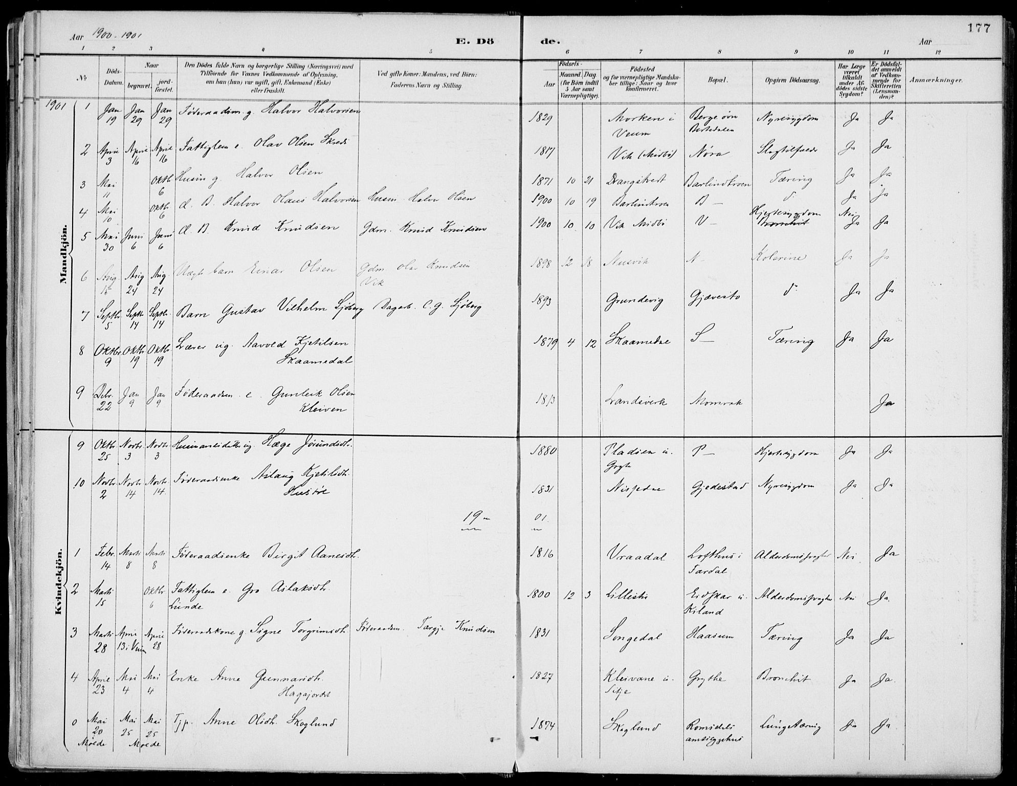 Fyresdal kirkebøker, AV/SAKO-A-263/F/Fa/L0007: Ministerialbok nr. I 7, 1887-1914, s. 177