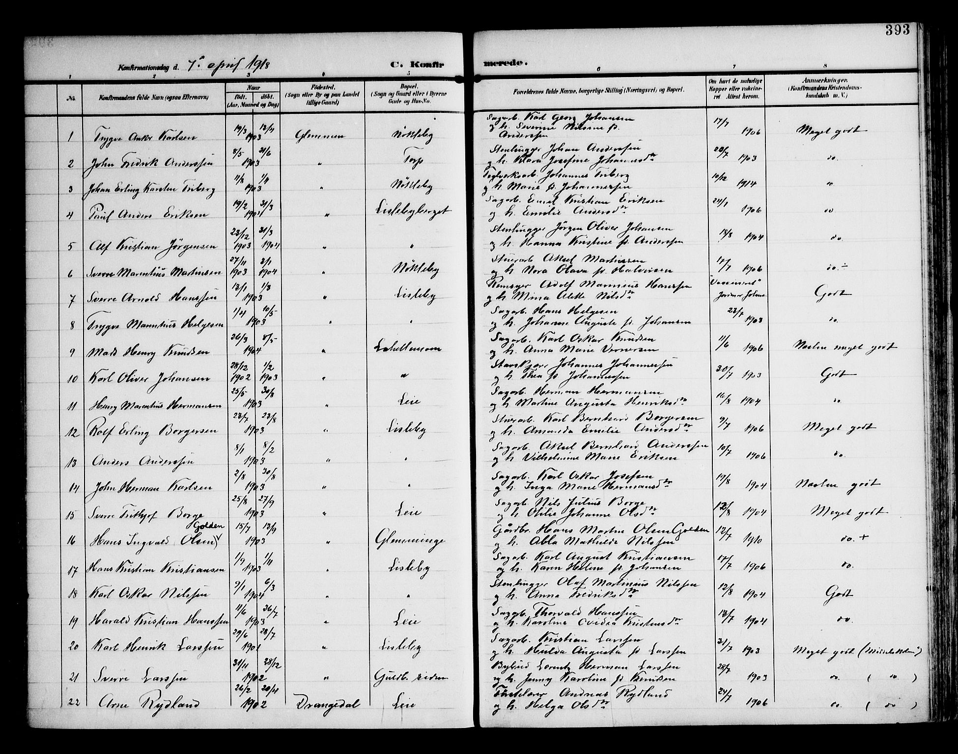 Glemmen prestekontor Kirkebøker, AV/SAO-A-10908/F/Fa/L0014: Ministerialbok nr. 14, 1902-1922, s. 393