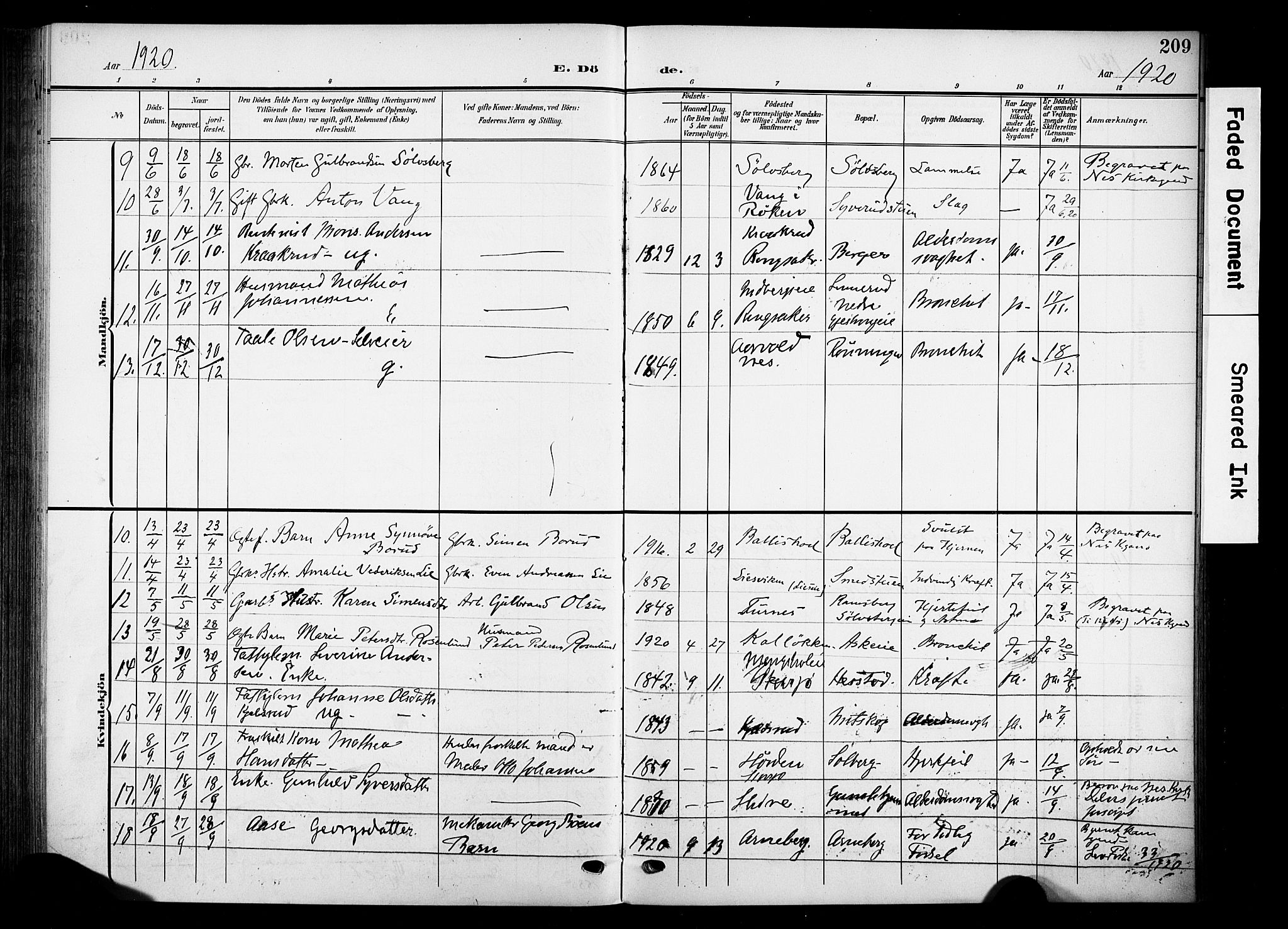 Nes prestekontor, Hedmark, AV/SAH-PREST-020/K/Ka/L0013: Ministerialbok nr. 13, 1906-1924, s. 209