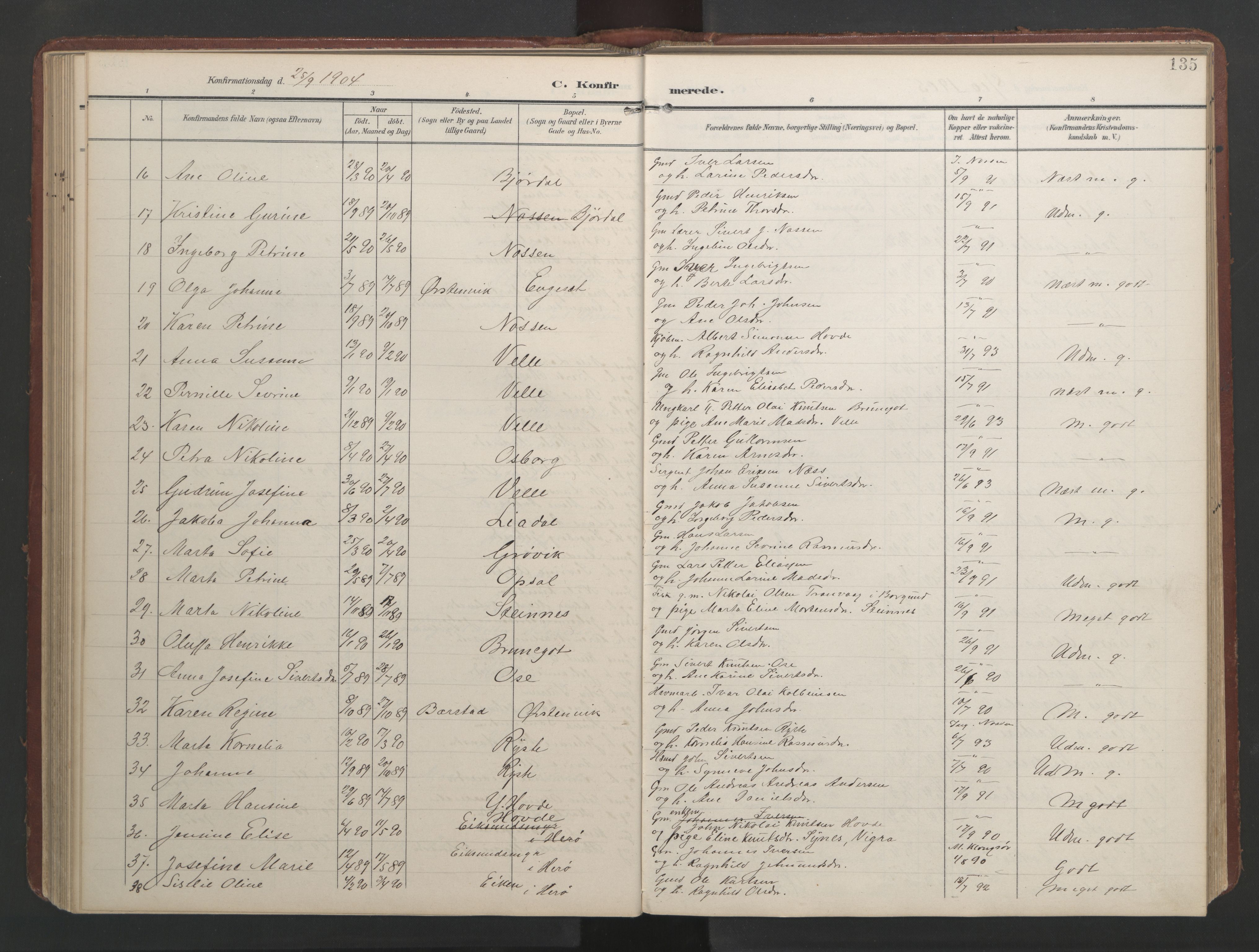 Ministerialprotokoller, klokkerbøker og fødselsregistre - Møre og Romsdal, AV/SAT-A-1454/513/L0190: Klokkerbok nr. 513C04, 1904-1926, s. 135