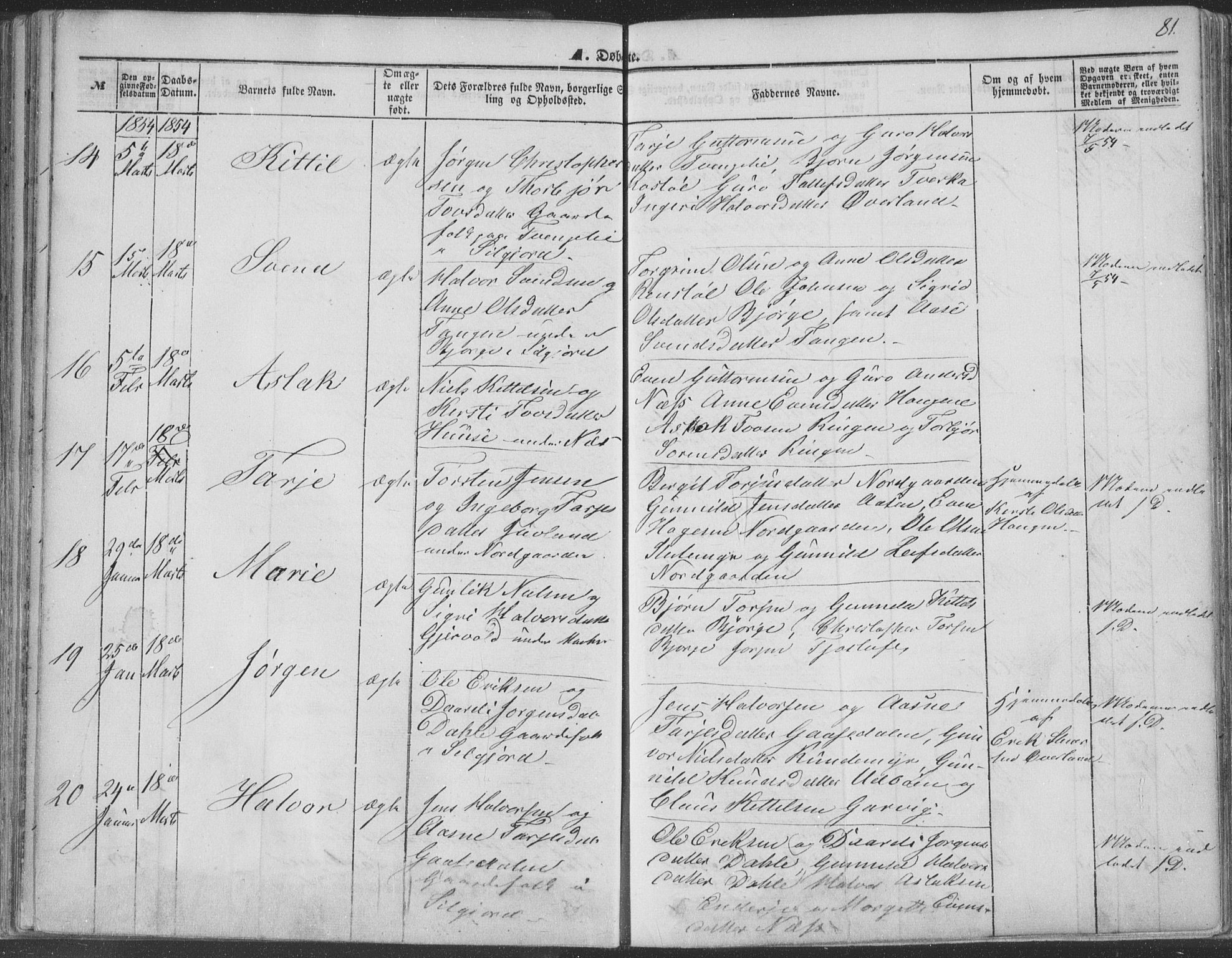 Seljord kirkebøker, AV/SAKO-A-20/F/Fa/L012a: Ministerialbok nr. I 12A, 1850-1865, s. 81