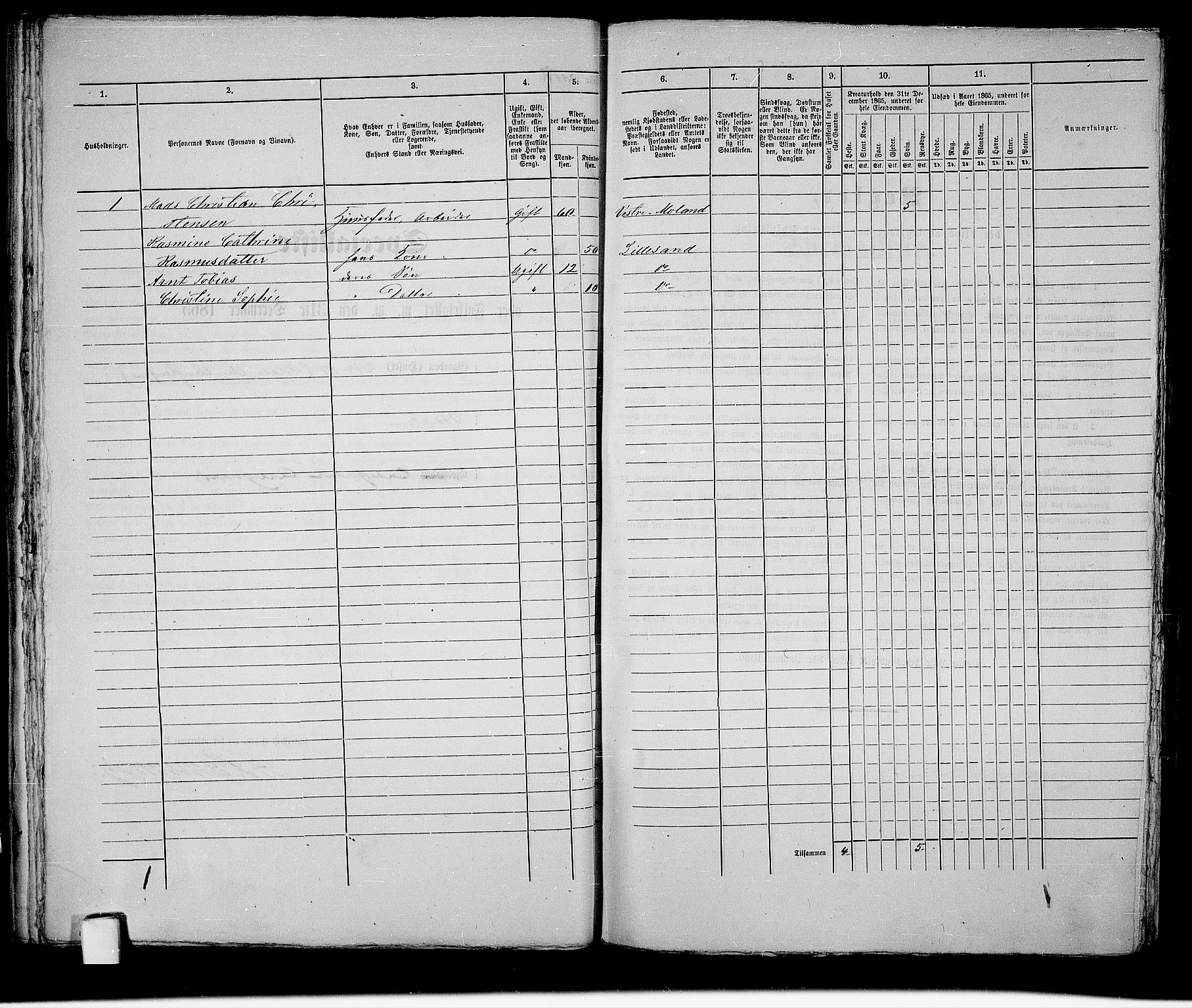 RA, Folketelling 1865 for 0905B Vestre Moland prestegjeld, Lillesand ladested, 1865, s. 41