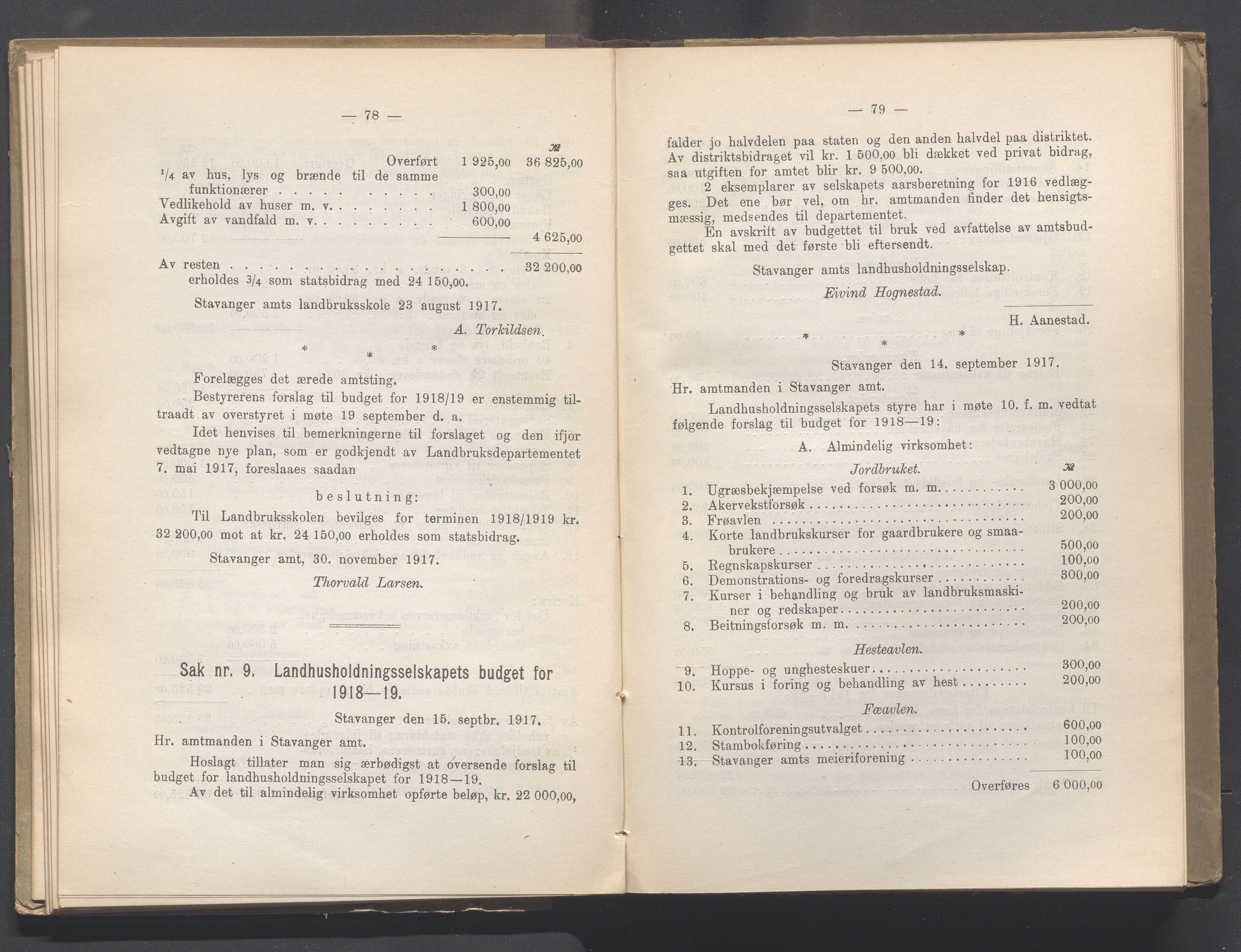 Rogaland fylkeskommune - Fylkesrådmannen , IKAR/A-900/A, 1918, s. 45