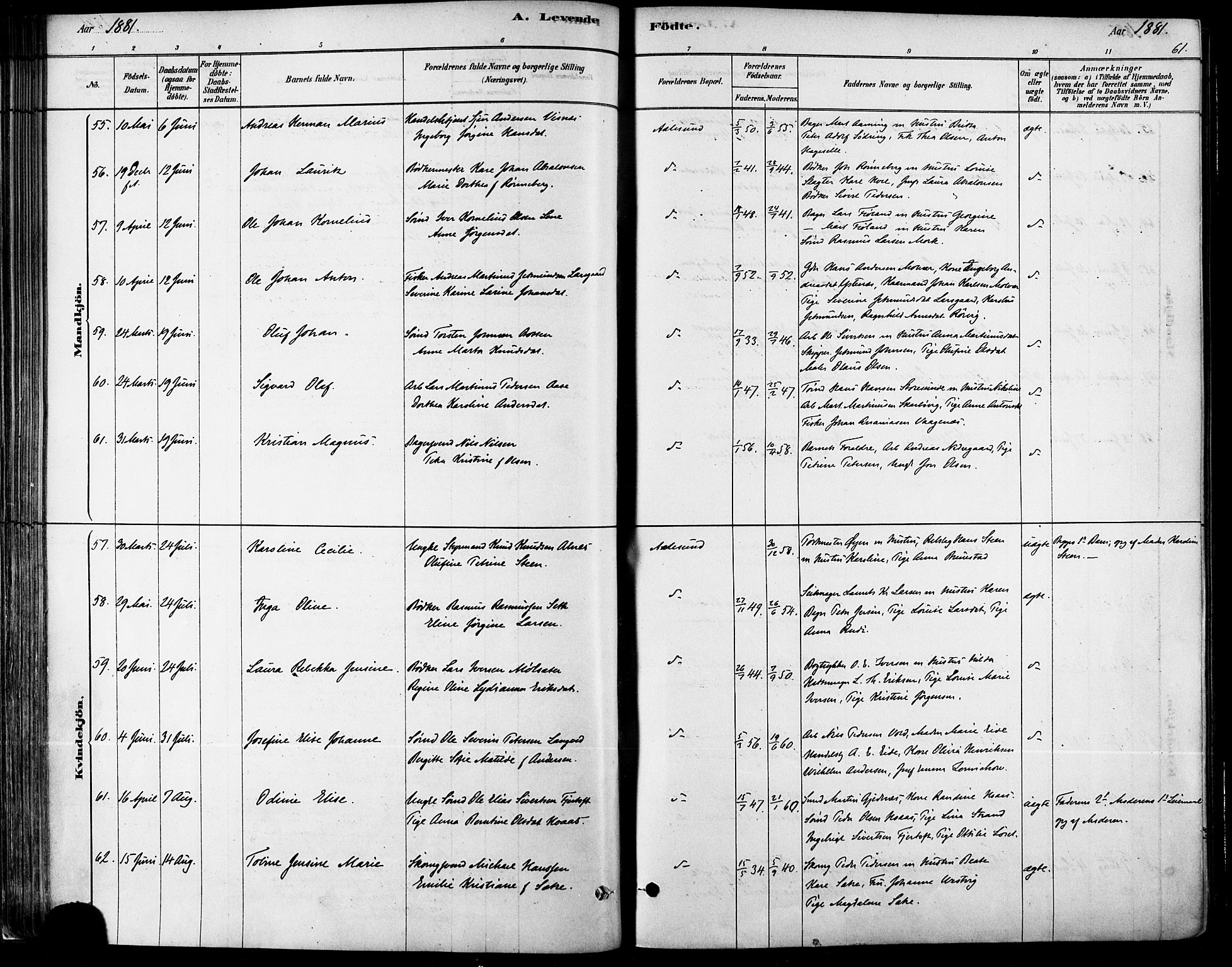 Ministerialprotokoller, klokkerbøker og fødselsregistre - Møre og Romsdal, AV/SAT-A-1454/529/L0454: Ministerialbok nr. 529A04, 1878-1885, s. 61