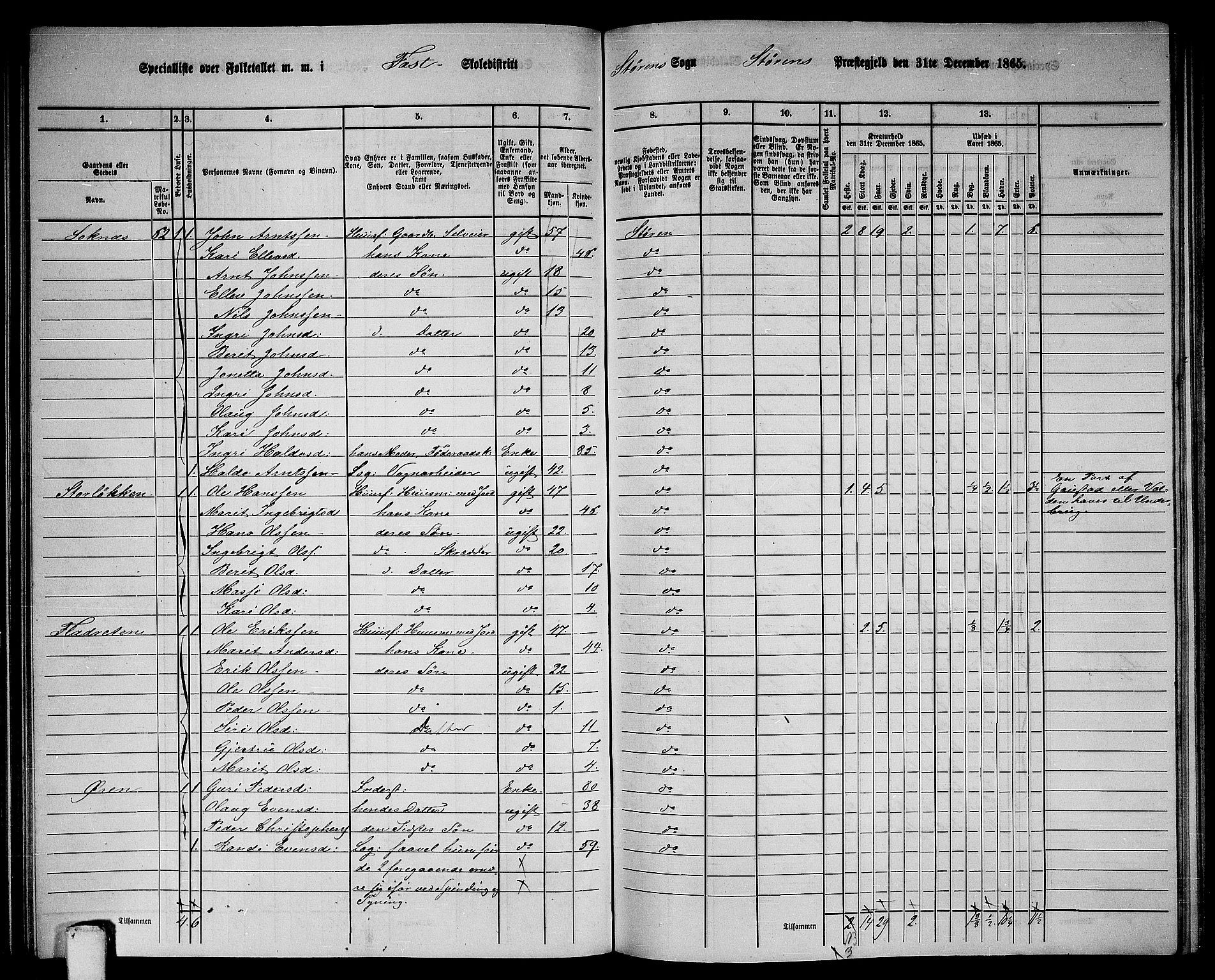 RA, Folketelling 1865 for 1648P Støren prestegjeld, 1865, s. 105