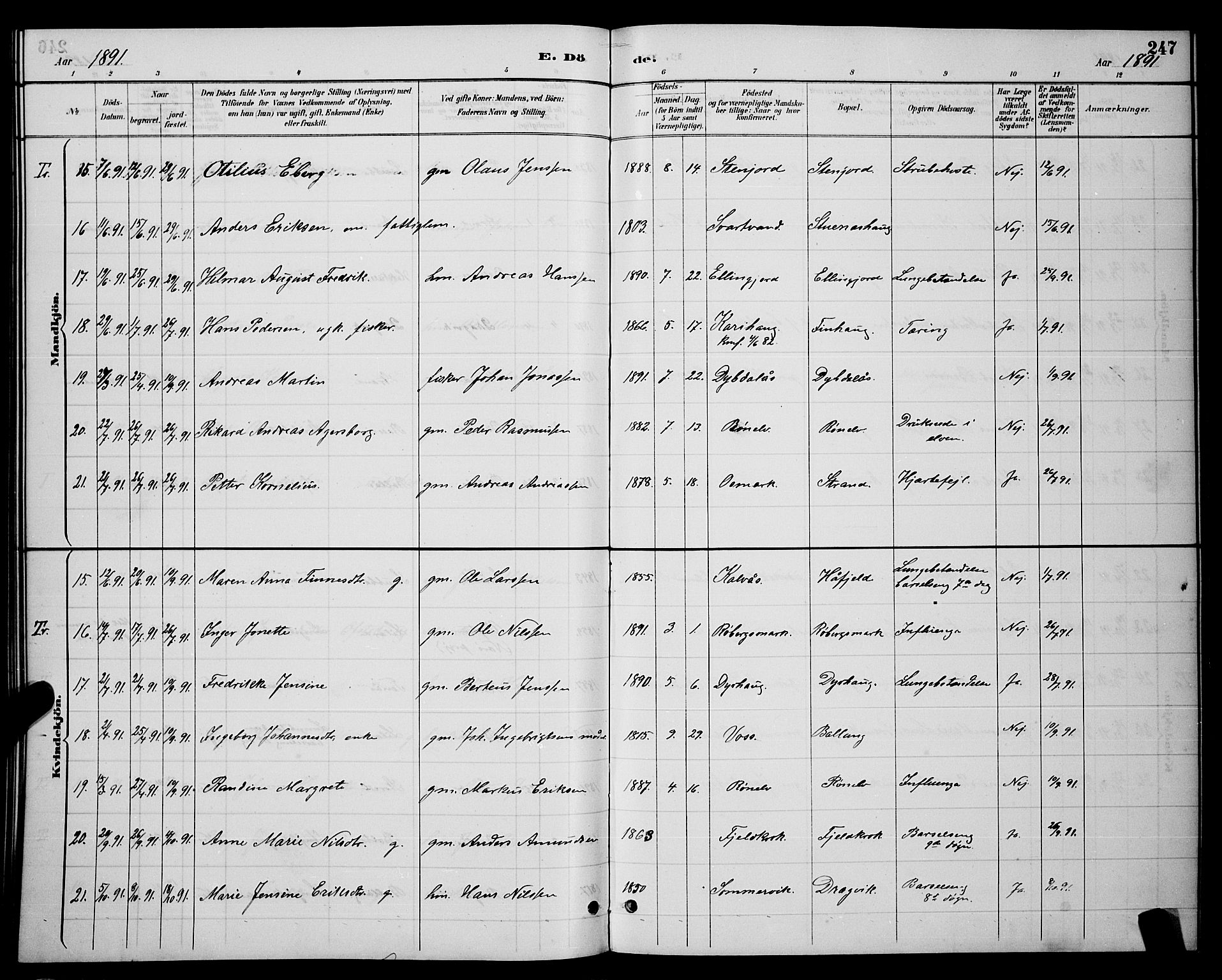 Ministerialprotokoller, klokkerbøker og fødselsregistre - Nordland, SAT/A-1459/863/L0914: Klokkerbok nr. 863C04, 1886-1897, s. 247