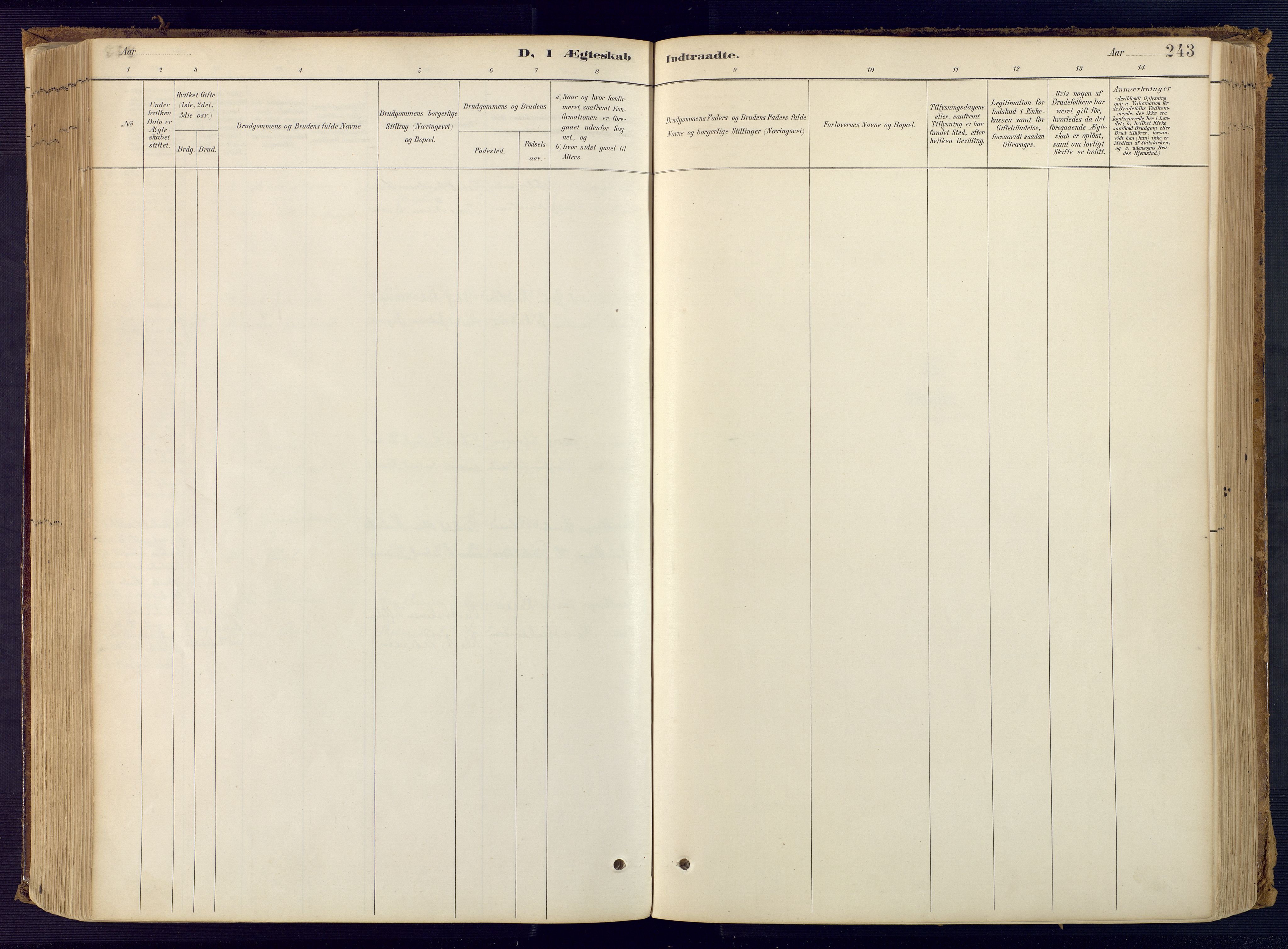 Bjelland sokneprestkontor, SAK/1111-0005/F/Fa/Faa/L0004: Ministerialbok nr. A 4, 1887-1923, s. 243