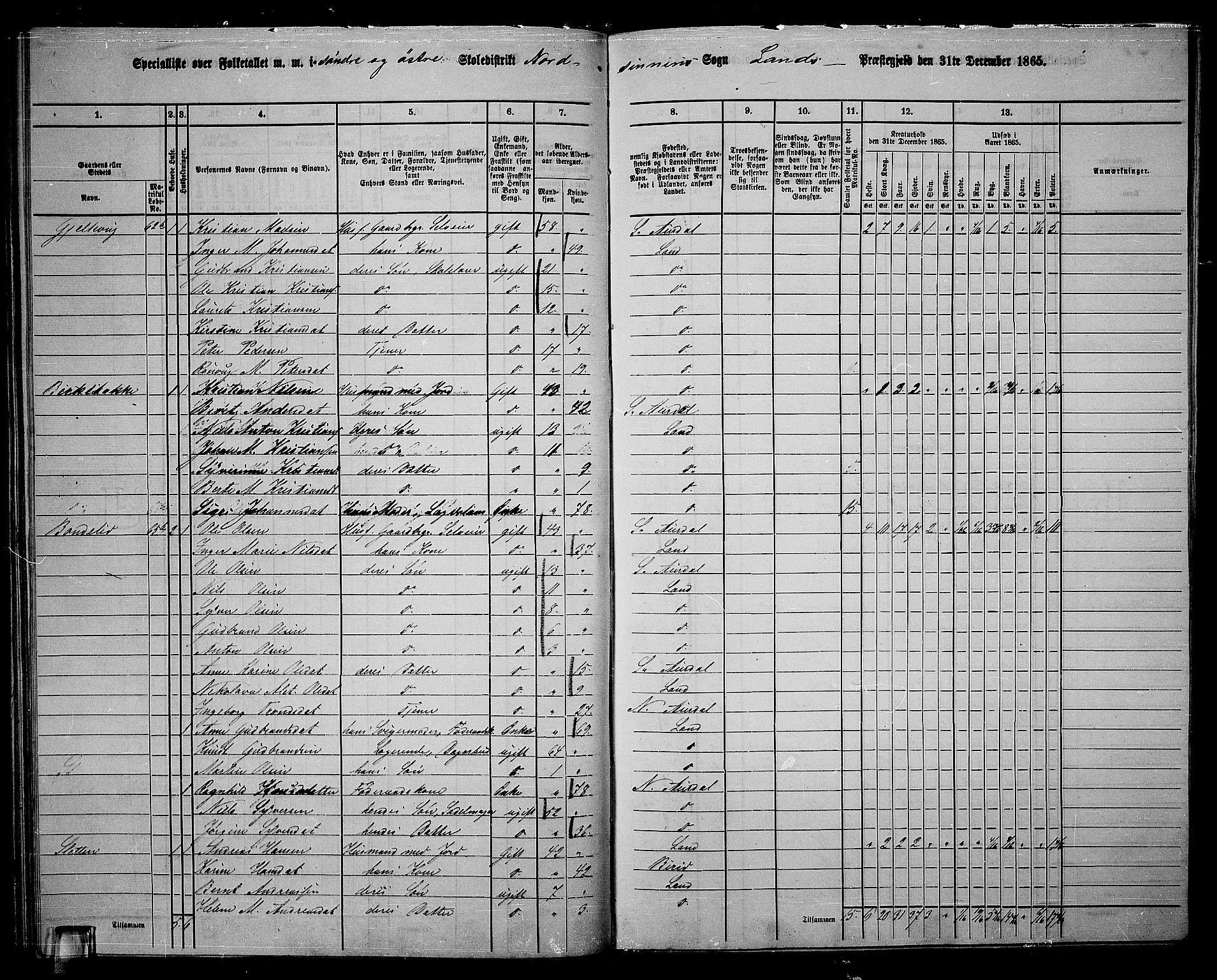 RA, Folketelling 1865 for 0536P Land prestegjeld, 1865, s. 64