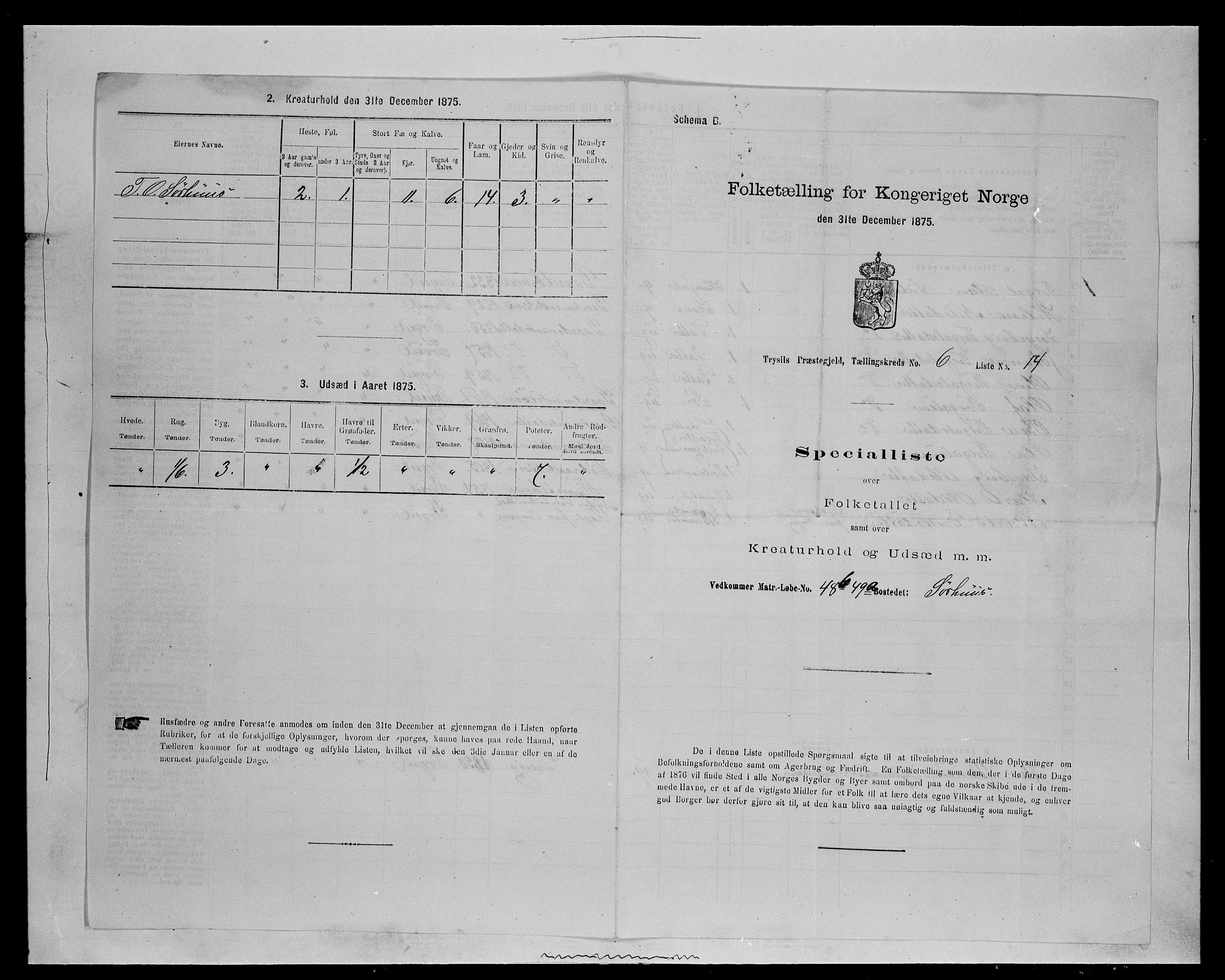 SAH, Folketelling 1875 for 0428P Trysil prestegjeld, 1875, s. 747