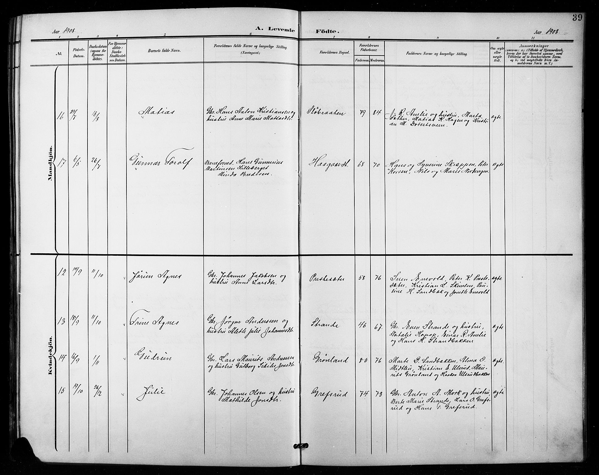 Vestre Toten prestekontor, SAH/PREST-108/H/Ha/Hab/L0016: Klokkerbok nr. 16, 1901-1915, s. 39