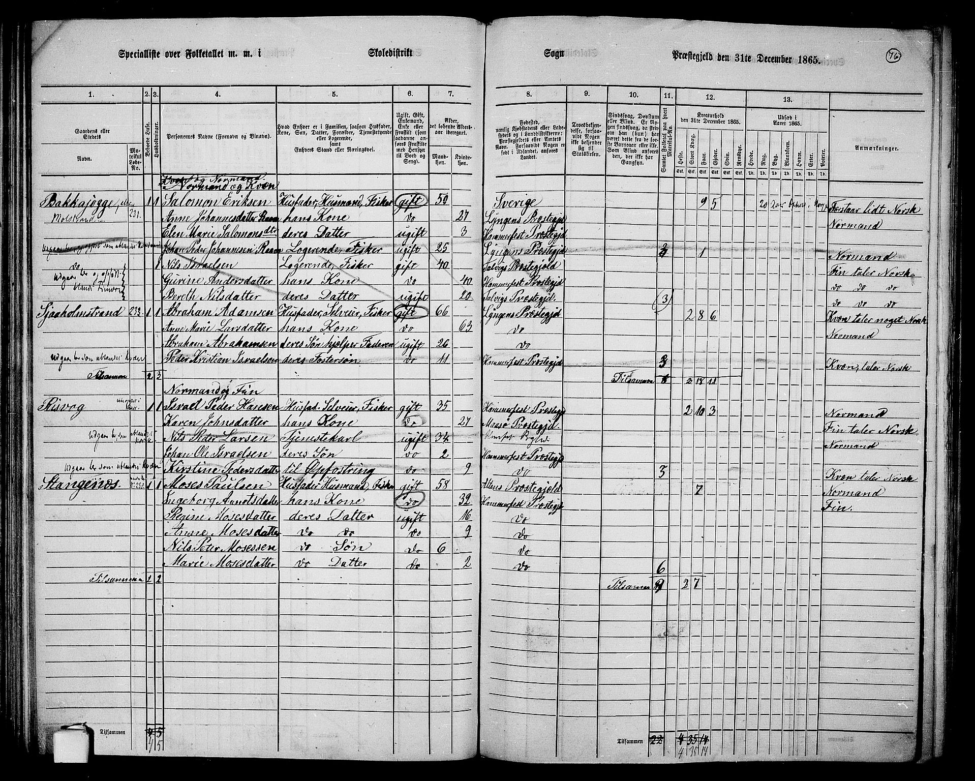 RA, Folketelling 1865 for 2016L Hammerfest prestegjeld, Hammerfest landsokn, 1865, s. 68