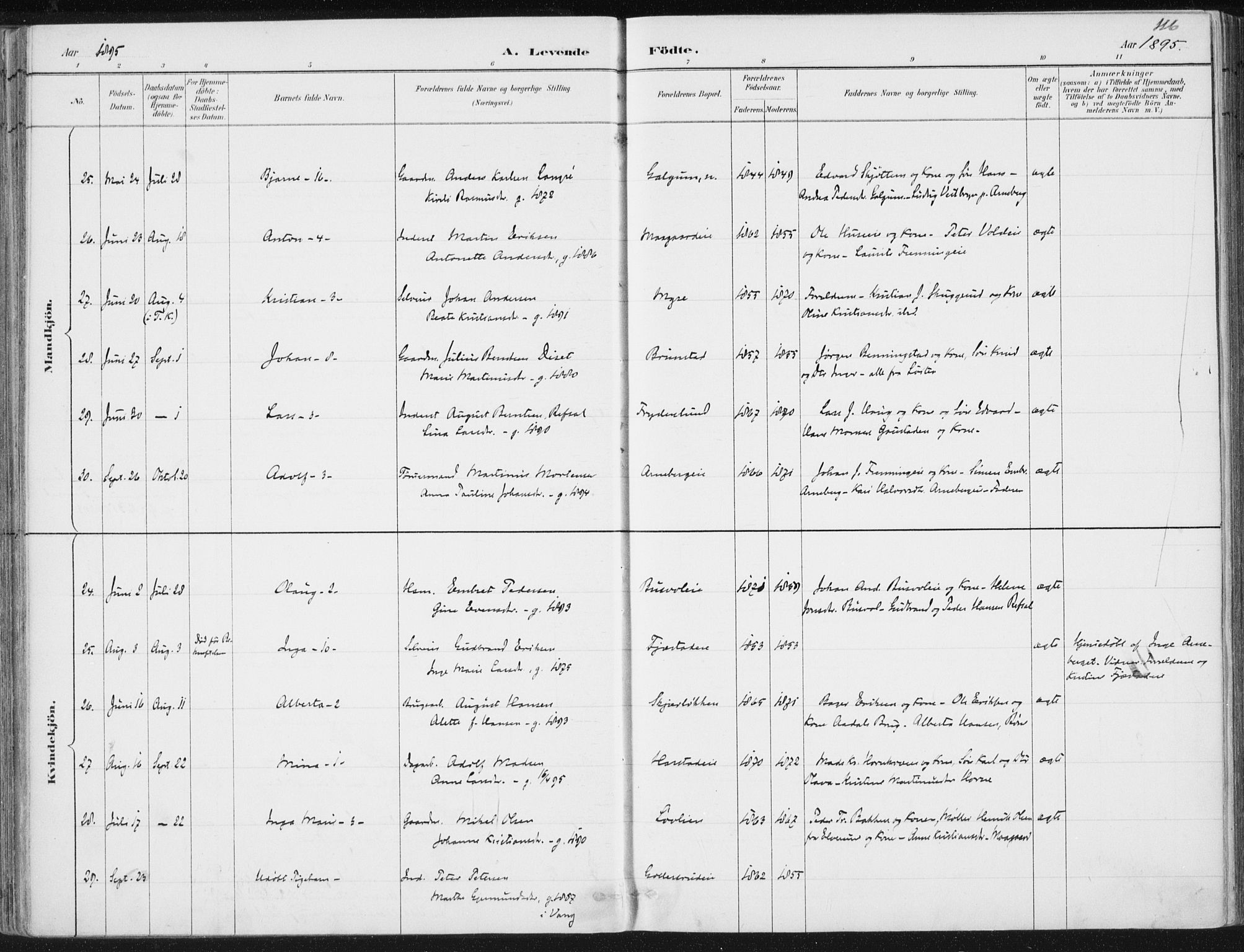 Romedal prestekontor, SAH/PREST-004/K/L0010: Ministerialbok nr. 10, 1880-1895, s. 116
