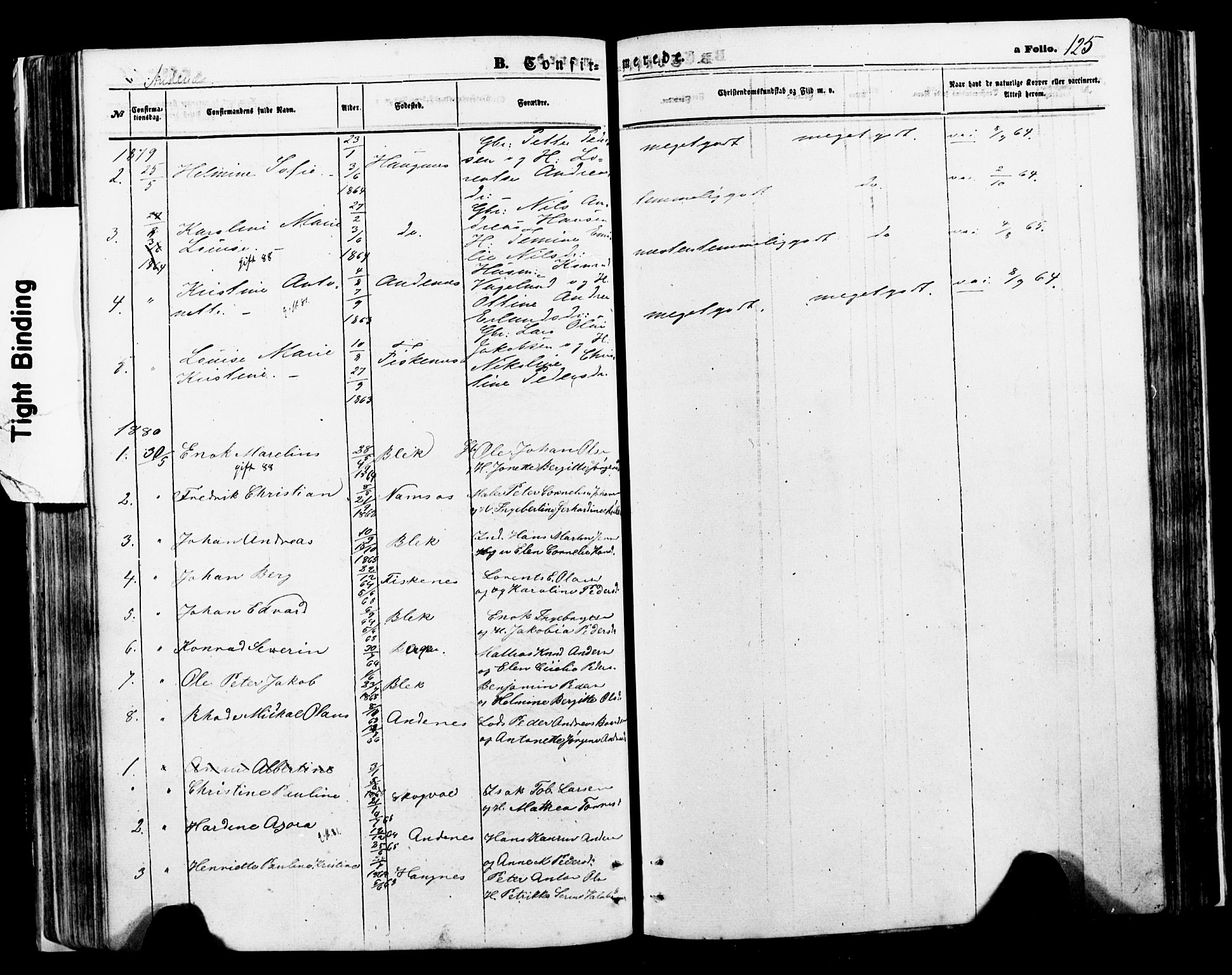 Ministerialprotokoller, klokkerbøker og fødselsregistre - Nordland, SAT/A-1459/897/L1398: Ministerialbok nr. 897A05 /2, 1867-1880, s. 125