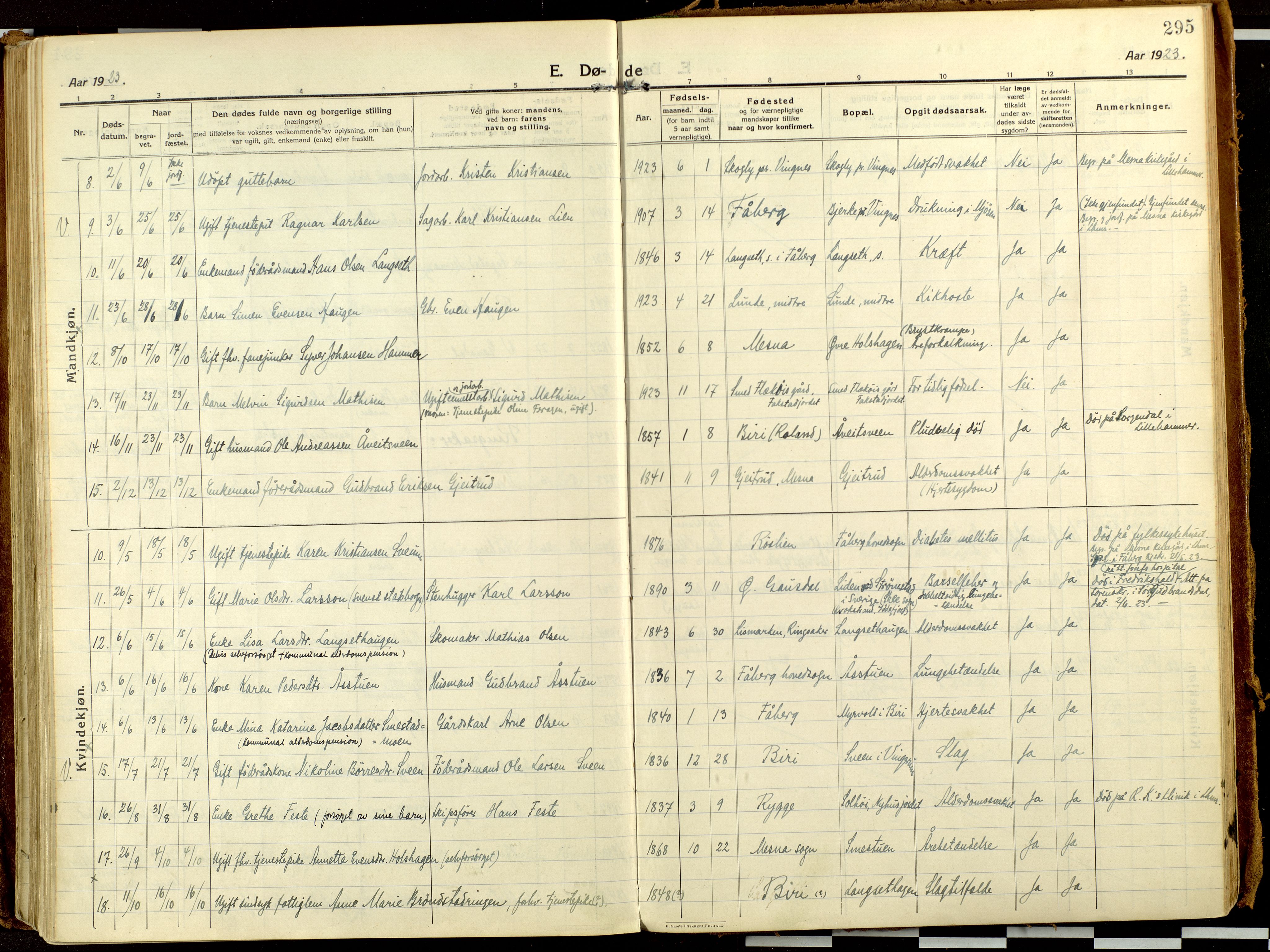 Fåberg prestekontor, AV/SAH-PREST-086/H/Ha/Haa/L0013: Ministerialbok nr. 13, 1913-1928, s. 295