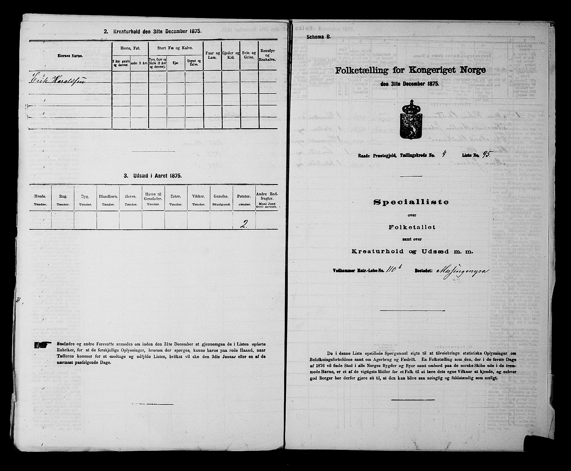 RA, Folketelling 1875 for 0135P Råde prestegjeld, 1875, s. 975