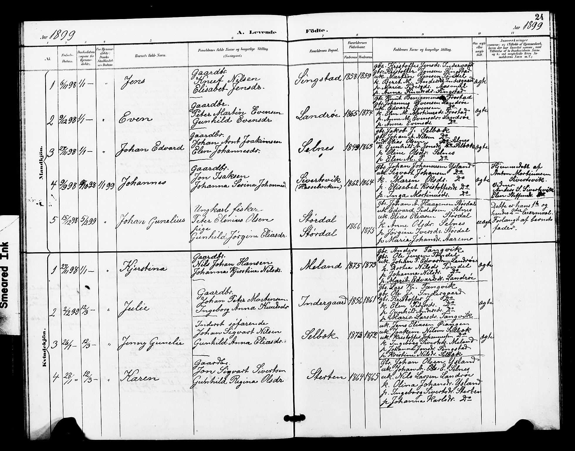 Ministerialprotokoller, klokkerbøker og fødselsregistre - Sør-Trøndelag, AV/SAT-A-1456/663/L0762: Klokkerbok nr. 663C02, 1894-1899, s. 24