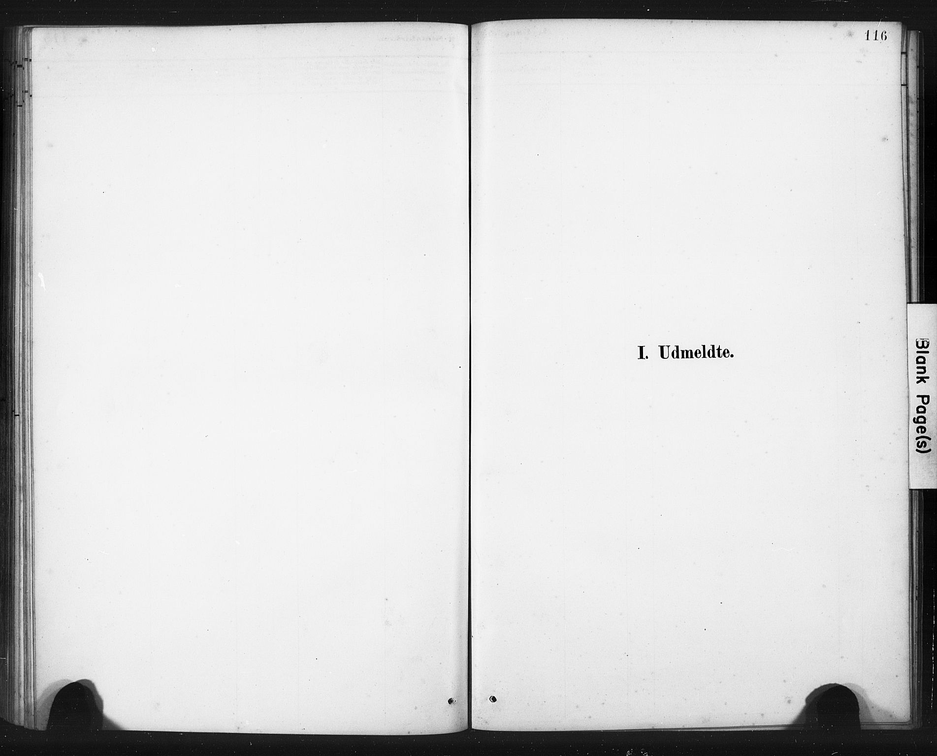 Torvastad sokneprestkontor, SAST/A -101857/H/Ha/Haa/L0016: Ministerialbok nr. A 15, 1883-1903, s. 116