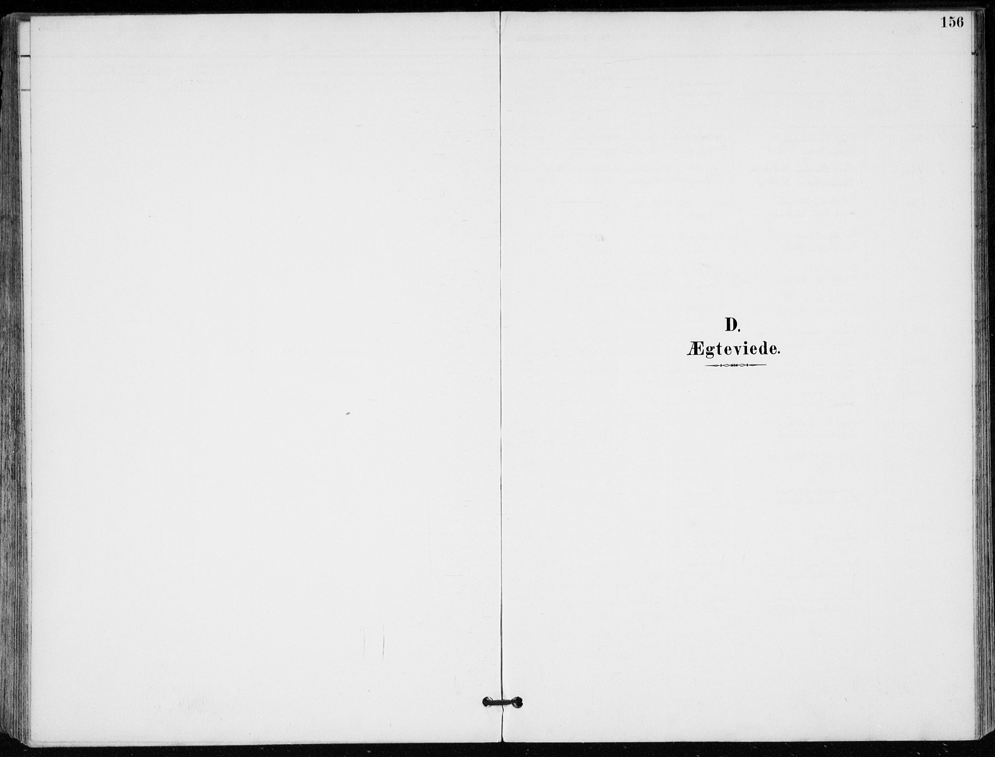 Modum kirkebøker, SAKO/A-234/F/Fa/L0012: Ministerialbok nr. 12, 1890-1898, s. 156