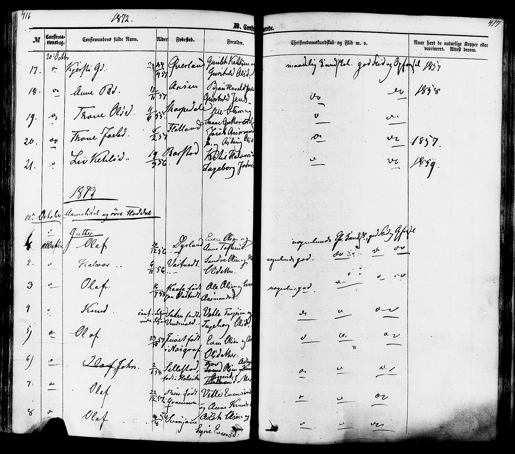 Seljord kirkebøker, AV/SAKO-A-20/F/Fa/L0013: Ministerialbok nr. I 13, 1866-1876, s. 416-417