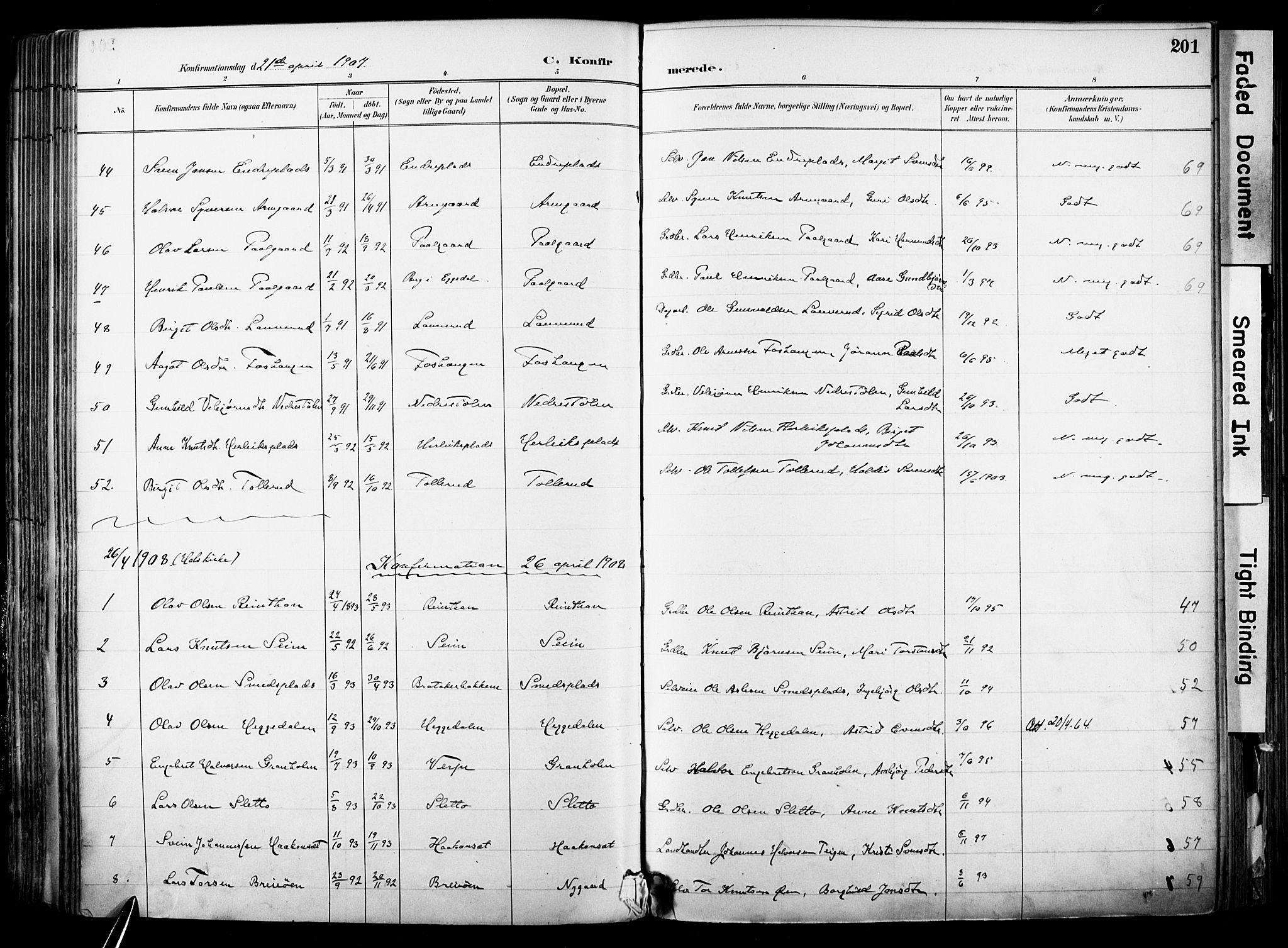 Hol kirkebøker, AV/SAKO-A-227/F/Fa/L0003: Ministerialbok nr. I 3, 1887-1918, s. 201
