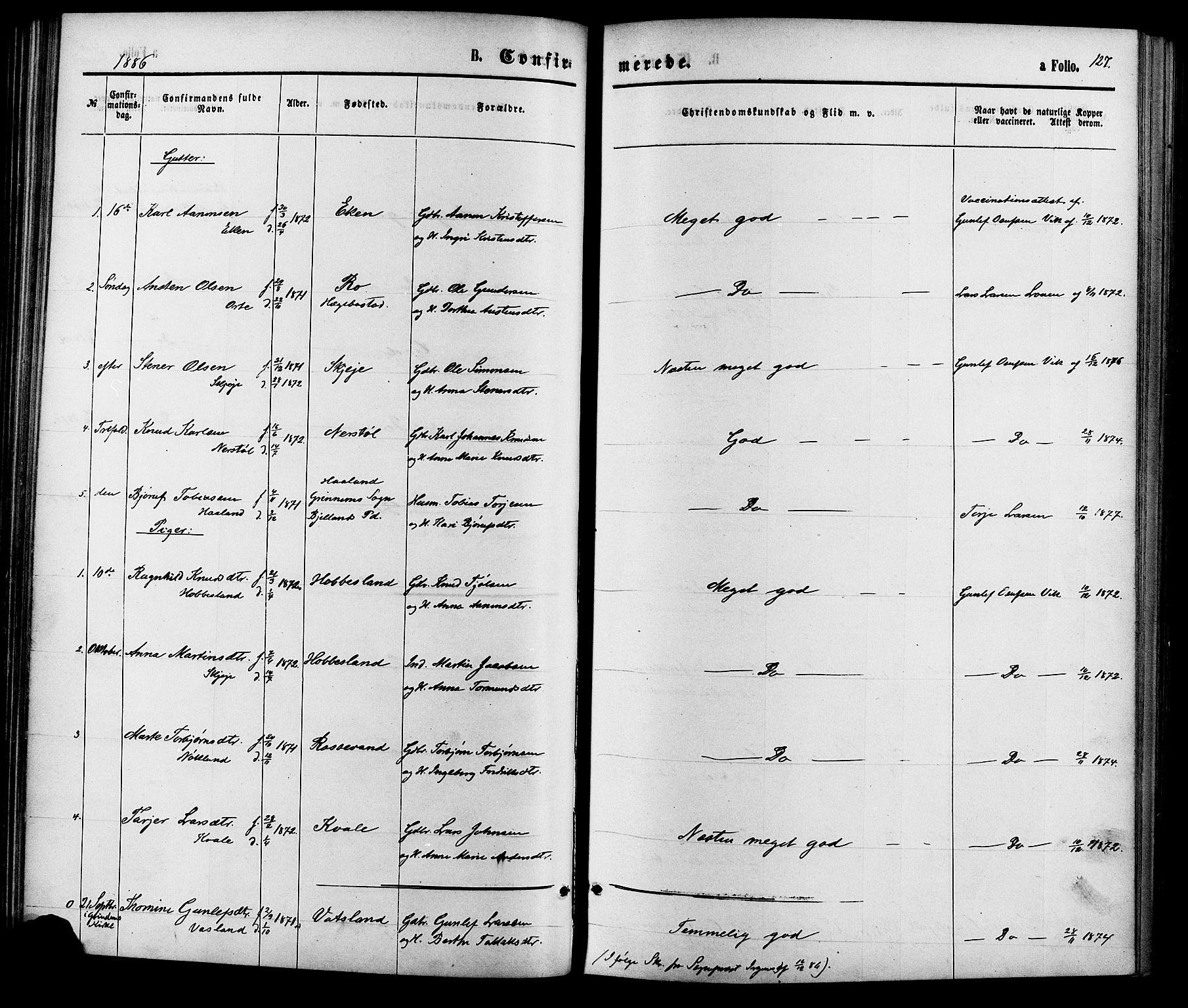 Hægebostad sokneprestkontor, SAK/1111-0024/F/Fa/Fab/L0003: Ministerialbok nr. A 3, 1872-1886, s. 127