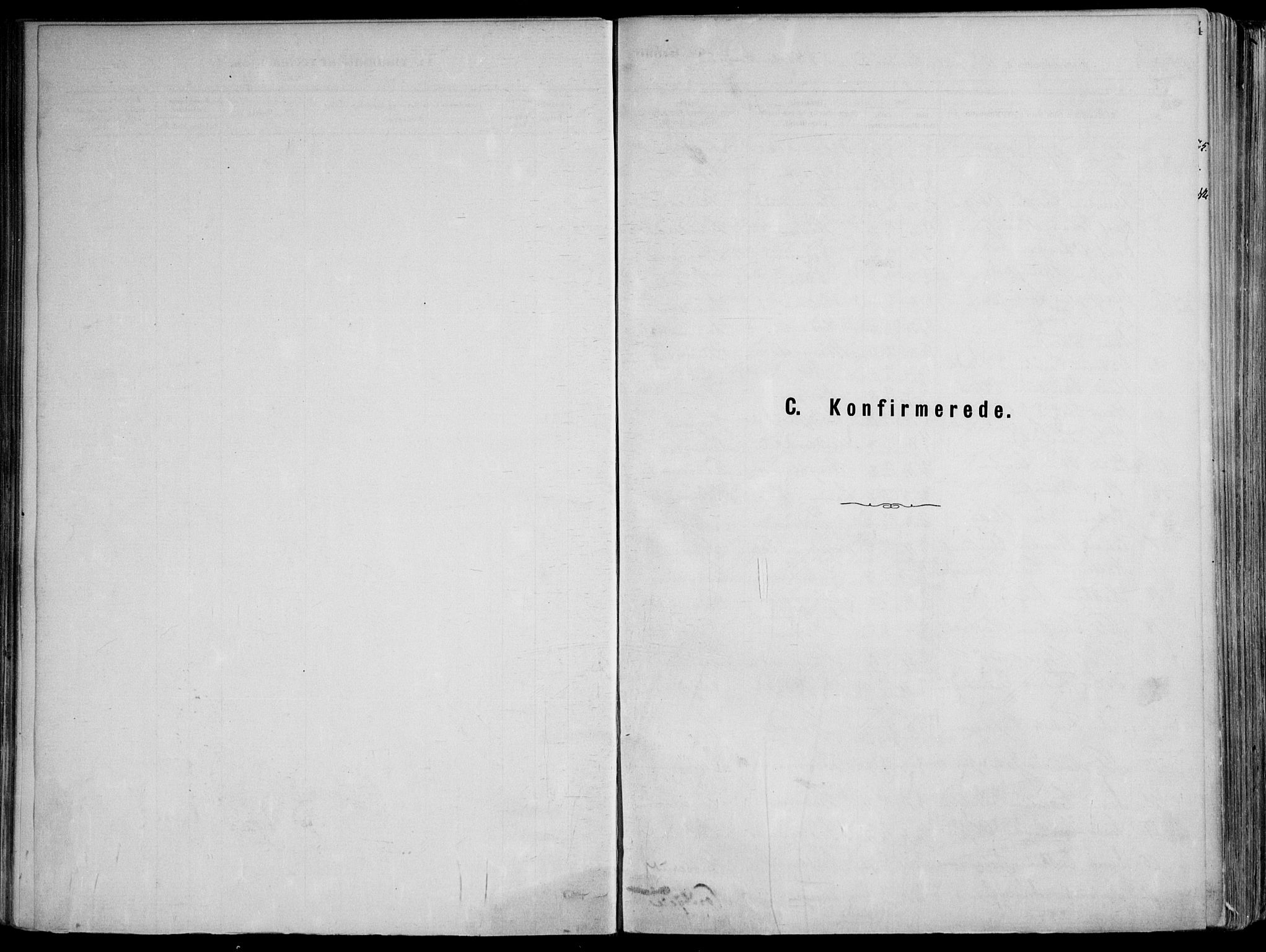 Skoger kirkebøker, SAKO/A-59/F/Fa/L0006: Ministerialbok nr. I 6, 1885-1910